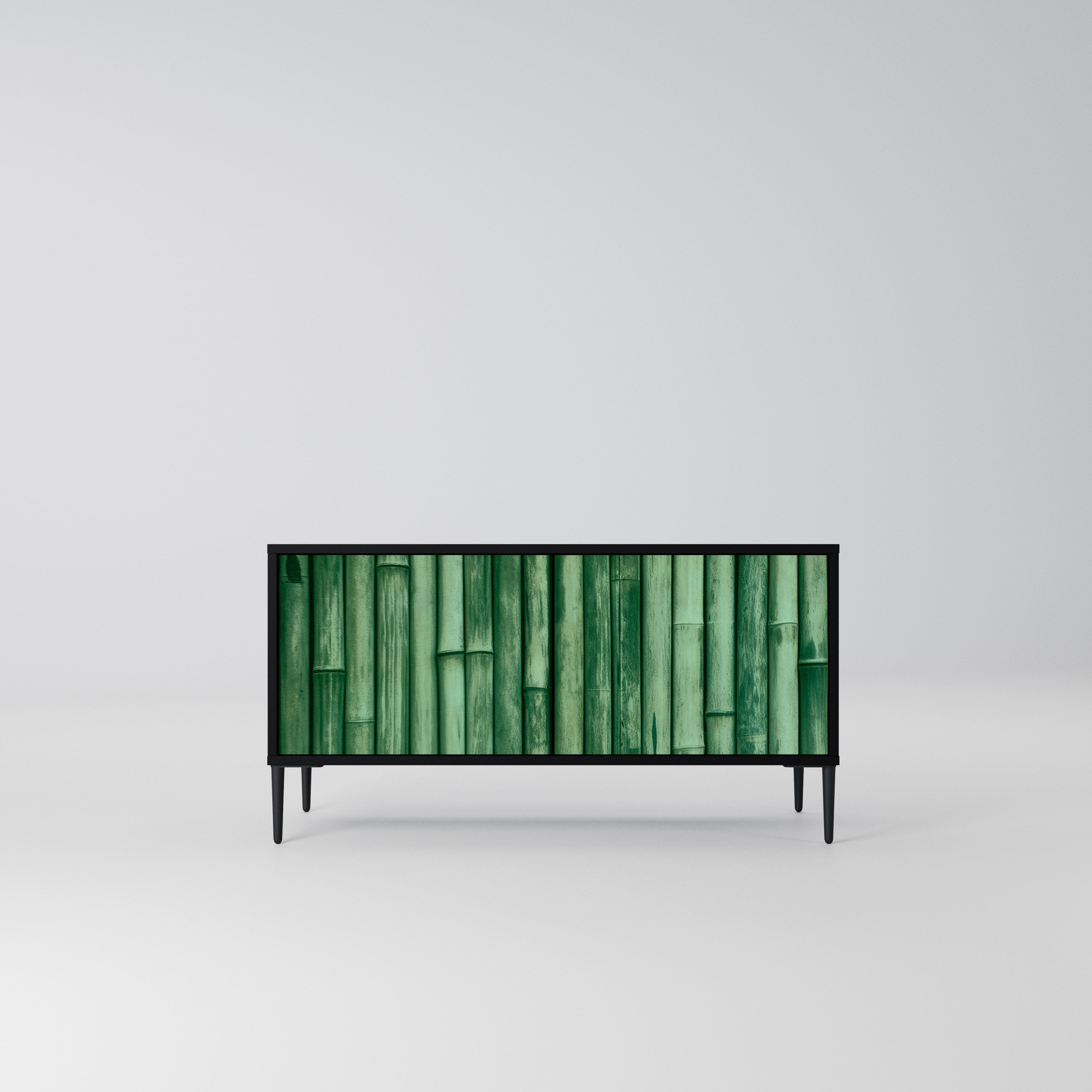 NATURAL GREEN Kompaktowa szafka RTV 2-drzwiowa