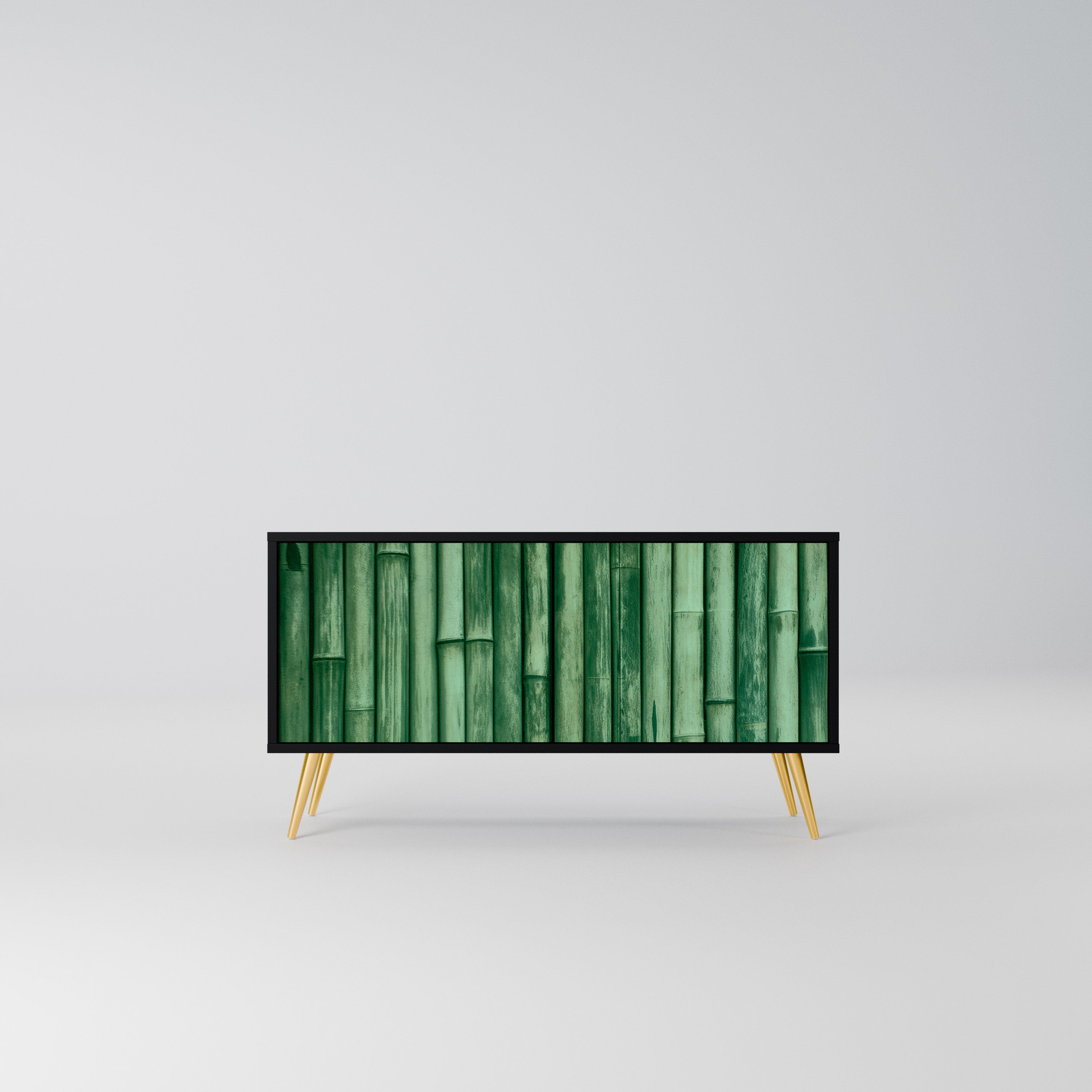 NATURAL GREEN Kompaktowa szafka RTV 2-drzwiowa
