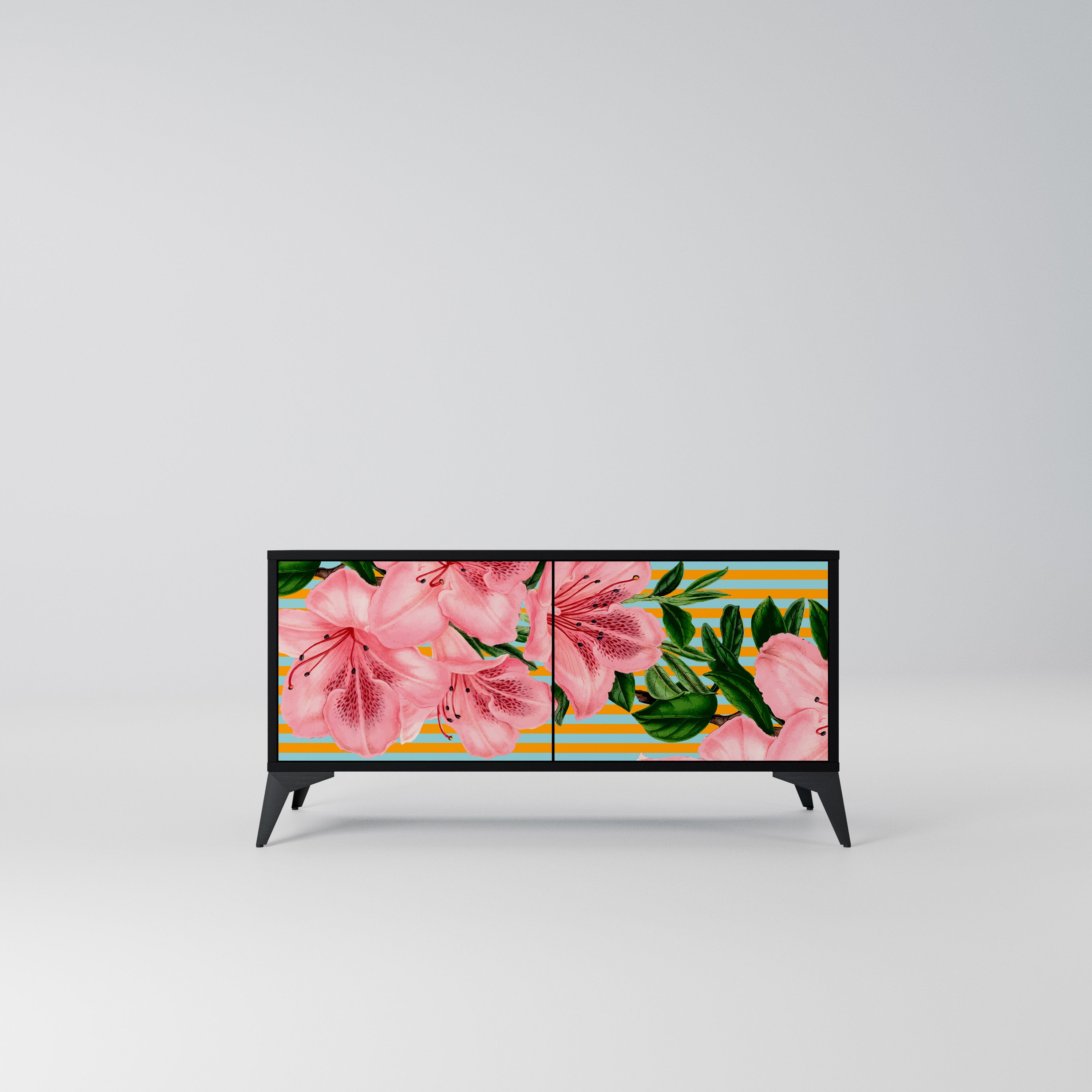 FRAGILE BEAUTY Kompaktowa szafka RTV 2-drzwiowa