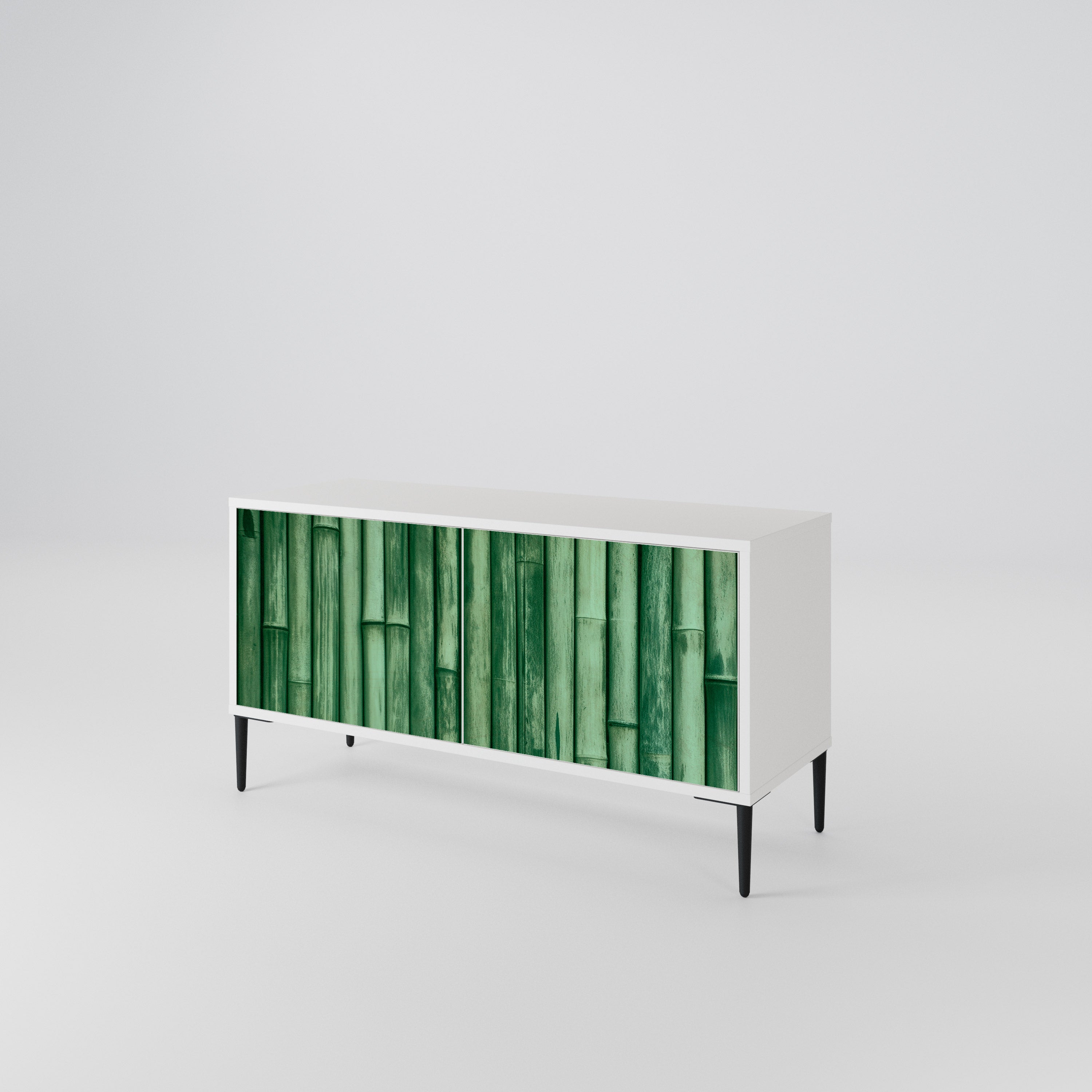 NATURAL GREEN Kompaktowa szafka RTV 2-drzwiowa