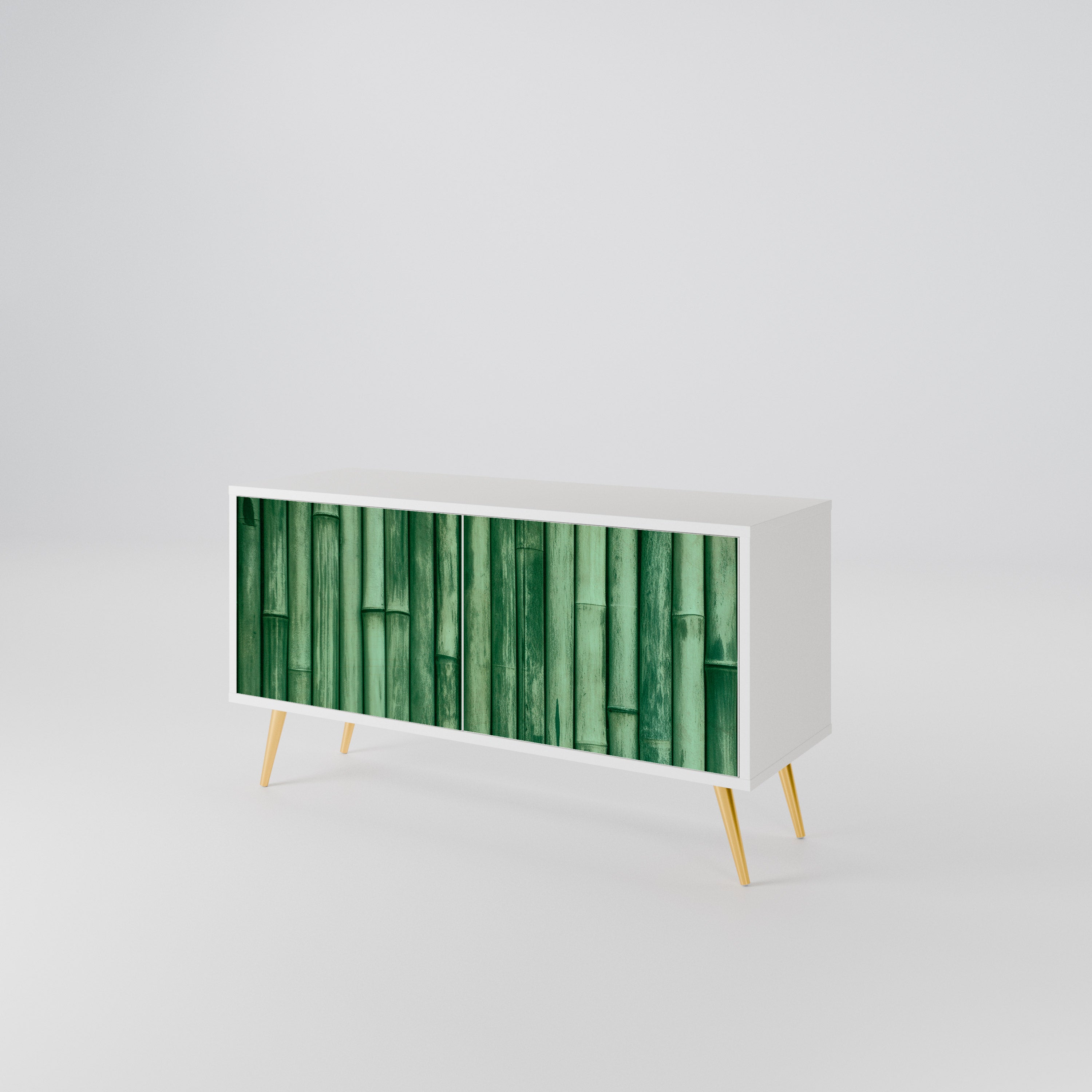 NATURAL GREEN Kompaktowa szafka RTV 2-drzwiowa