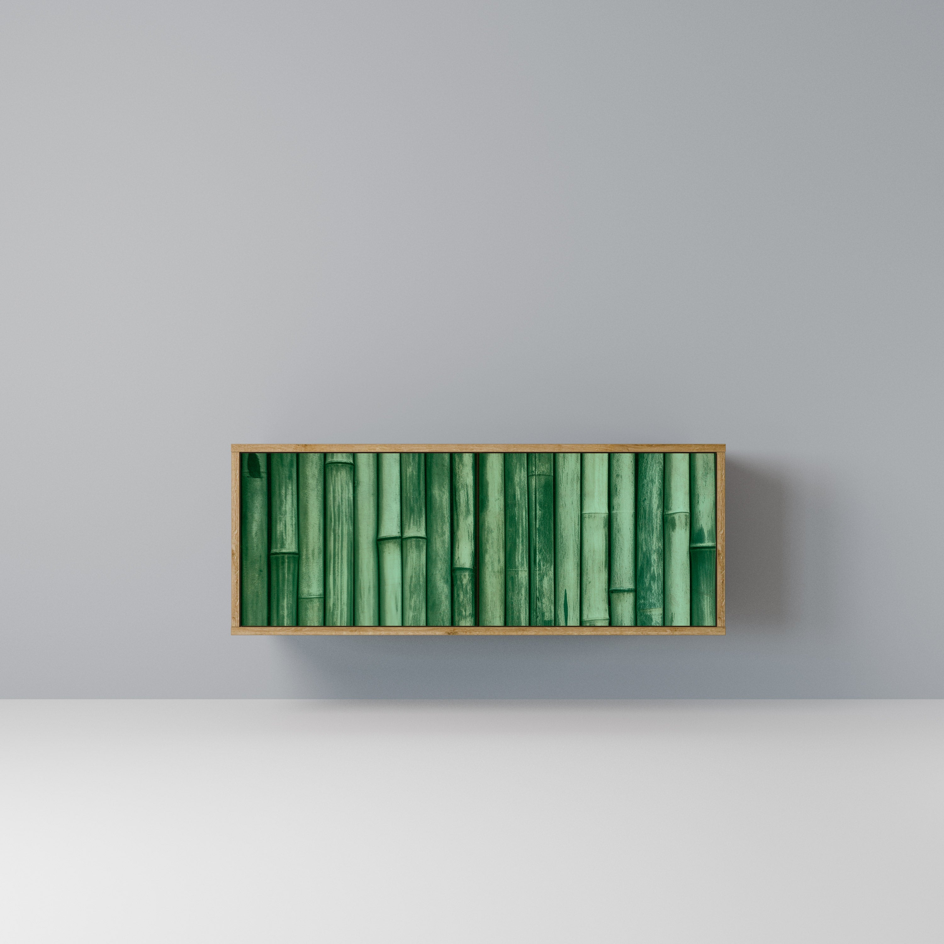 NATURAL GREEN Kompaktowa szafka RTV 2-drzwiowa