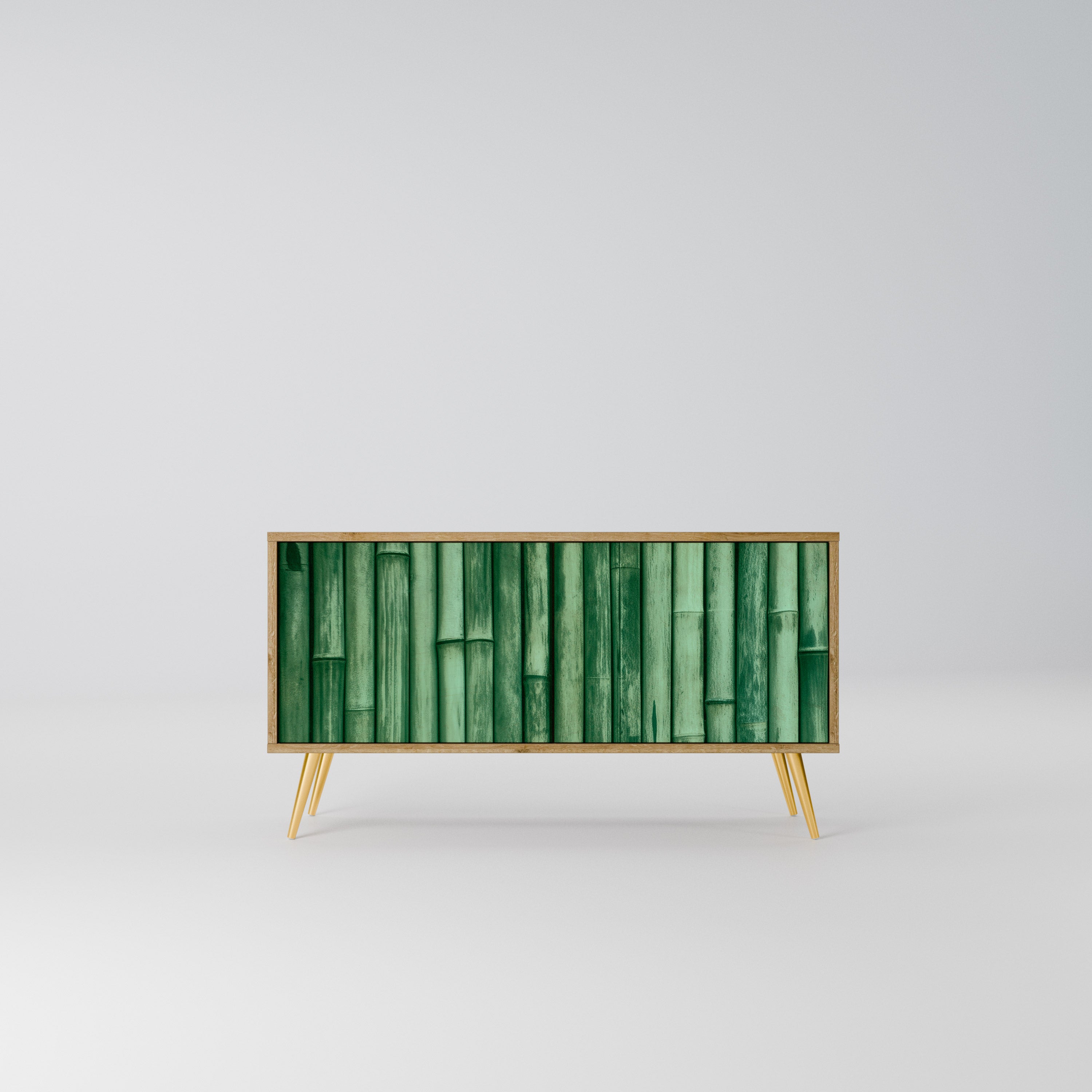 NATURAL GREEN Kompaktowa szafka RTV 2-drzwiowa
