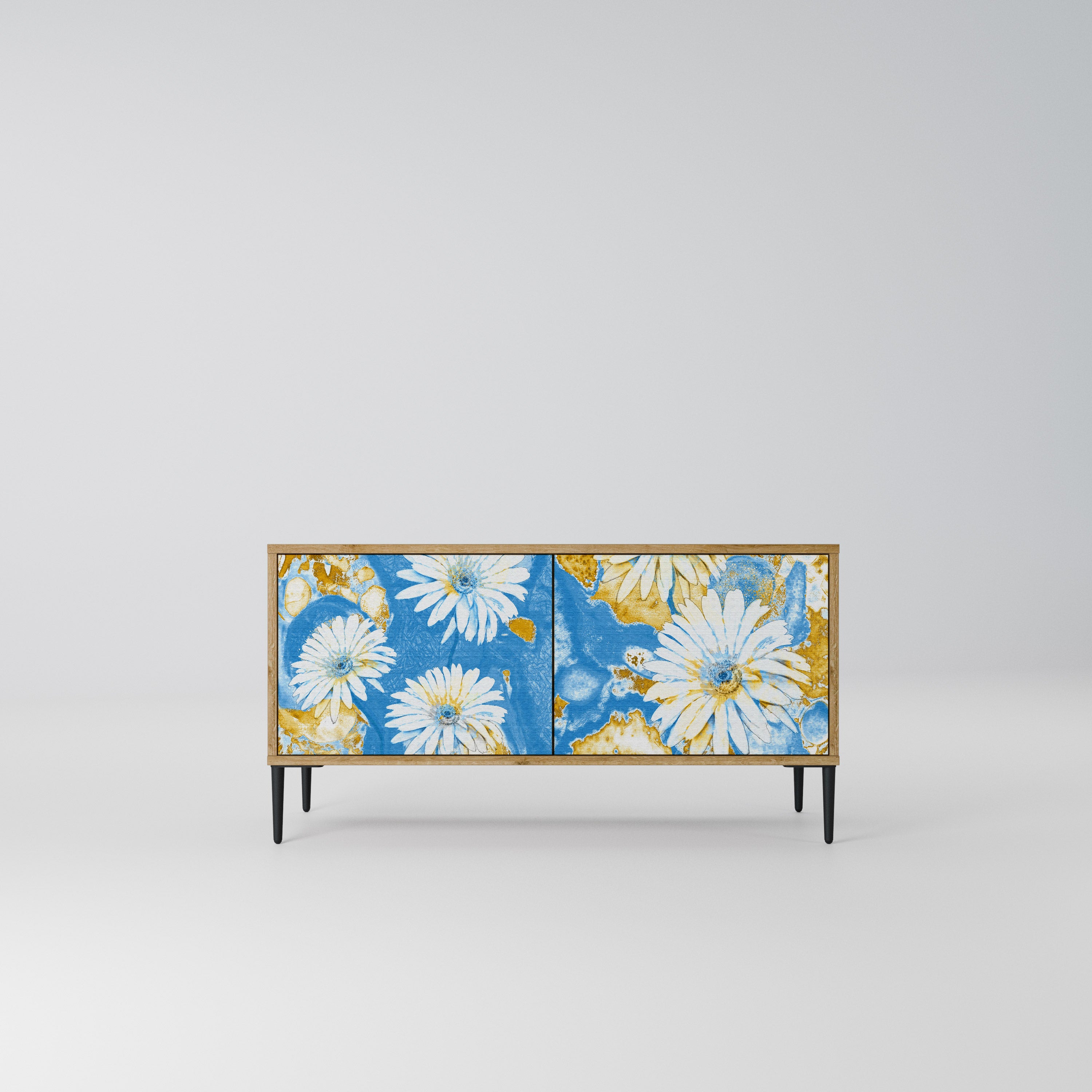 DAISY LUXE Kompaktowa szafka RTV 2-drzwiowa