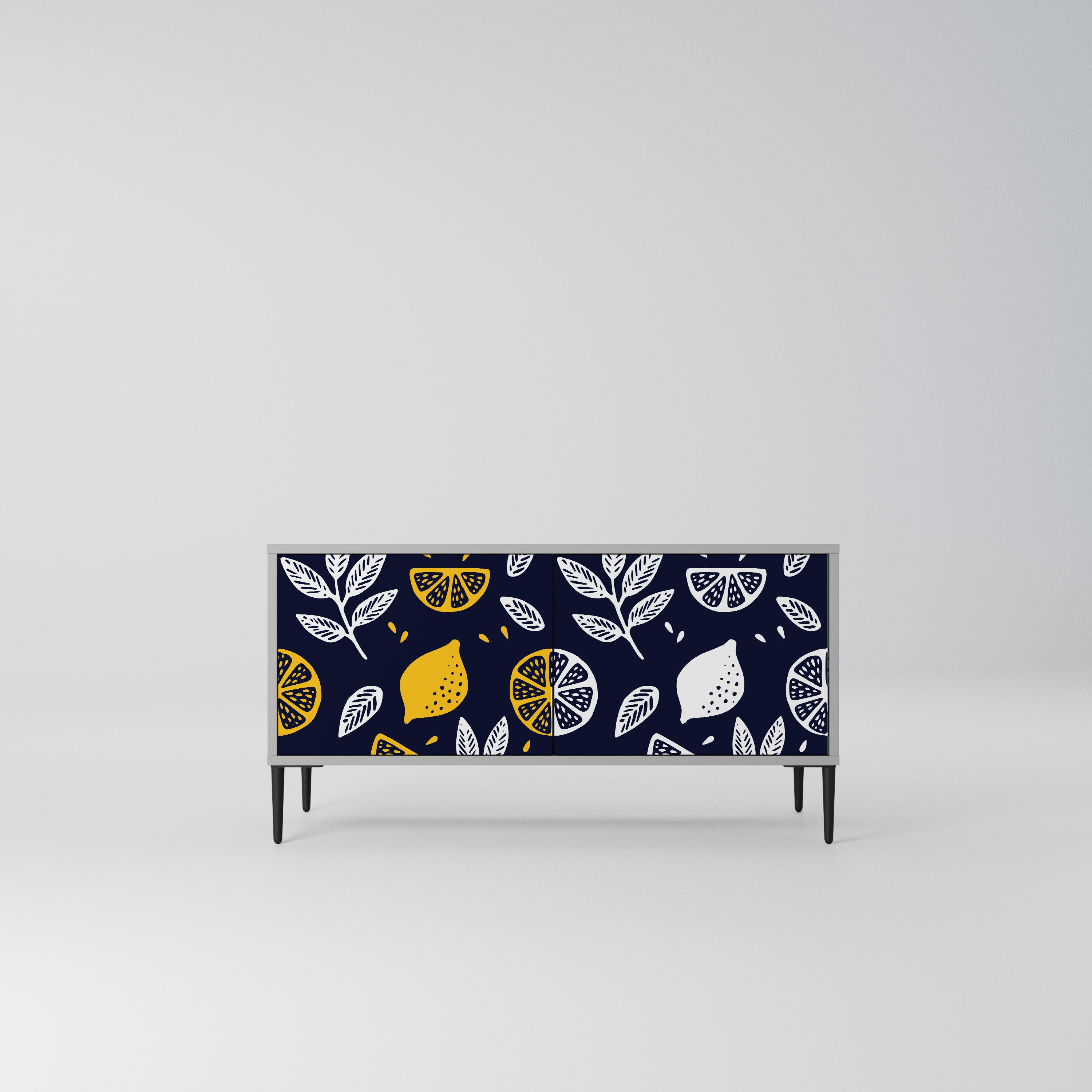 CITRUS BLACK AND WHITE Kompaktowa szafka RTV 2-drzwiowa