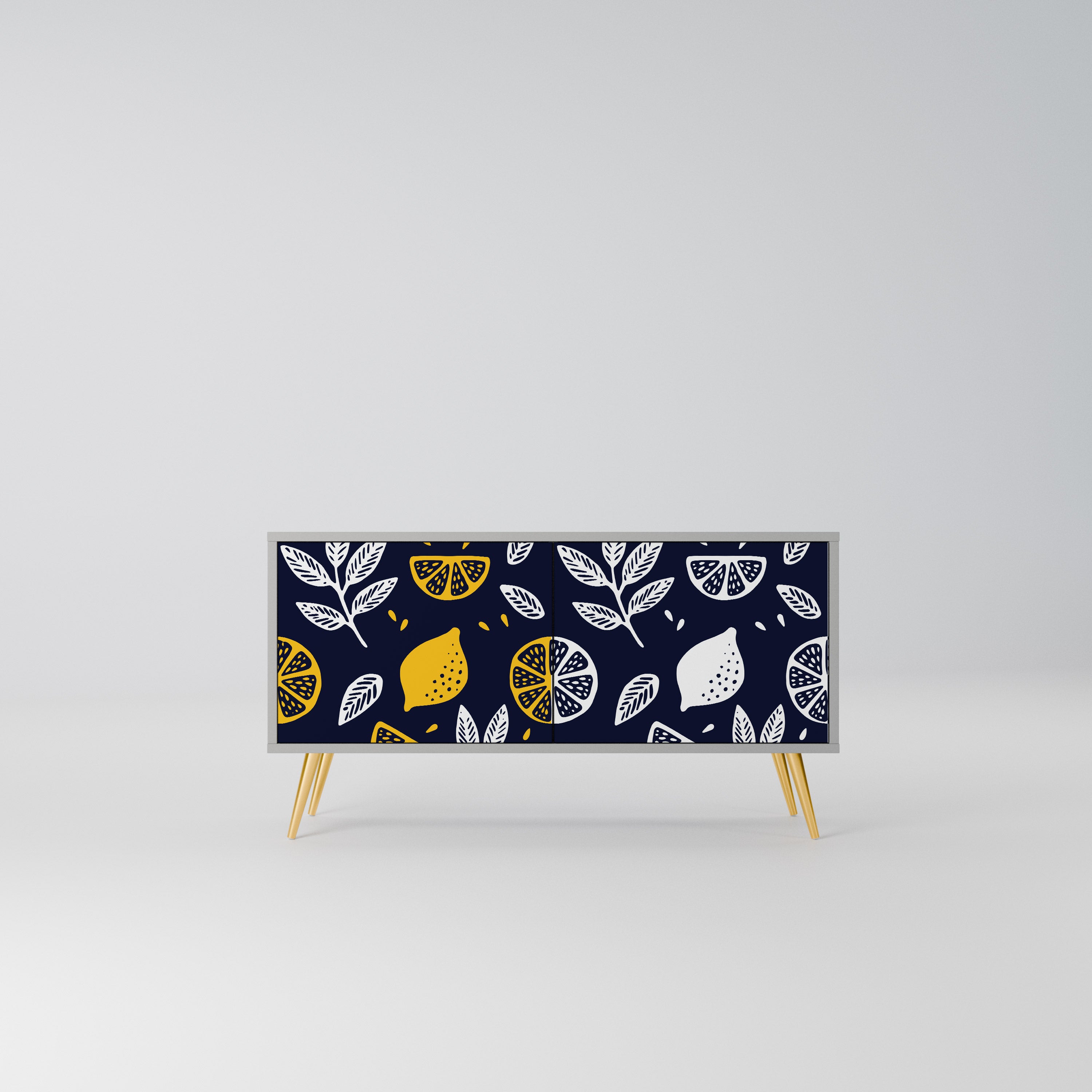 CITRUS BLACK AND WHITE Kompaktowa szafka RTV 2-drzwiowa
