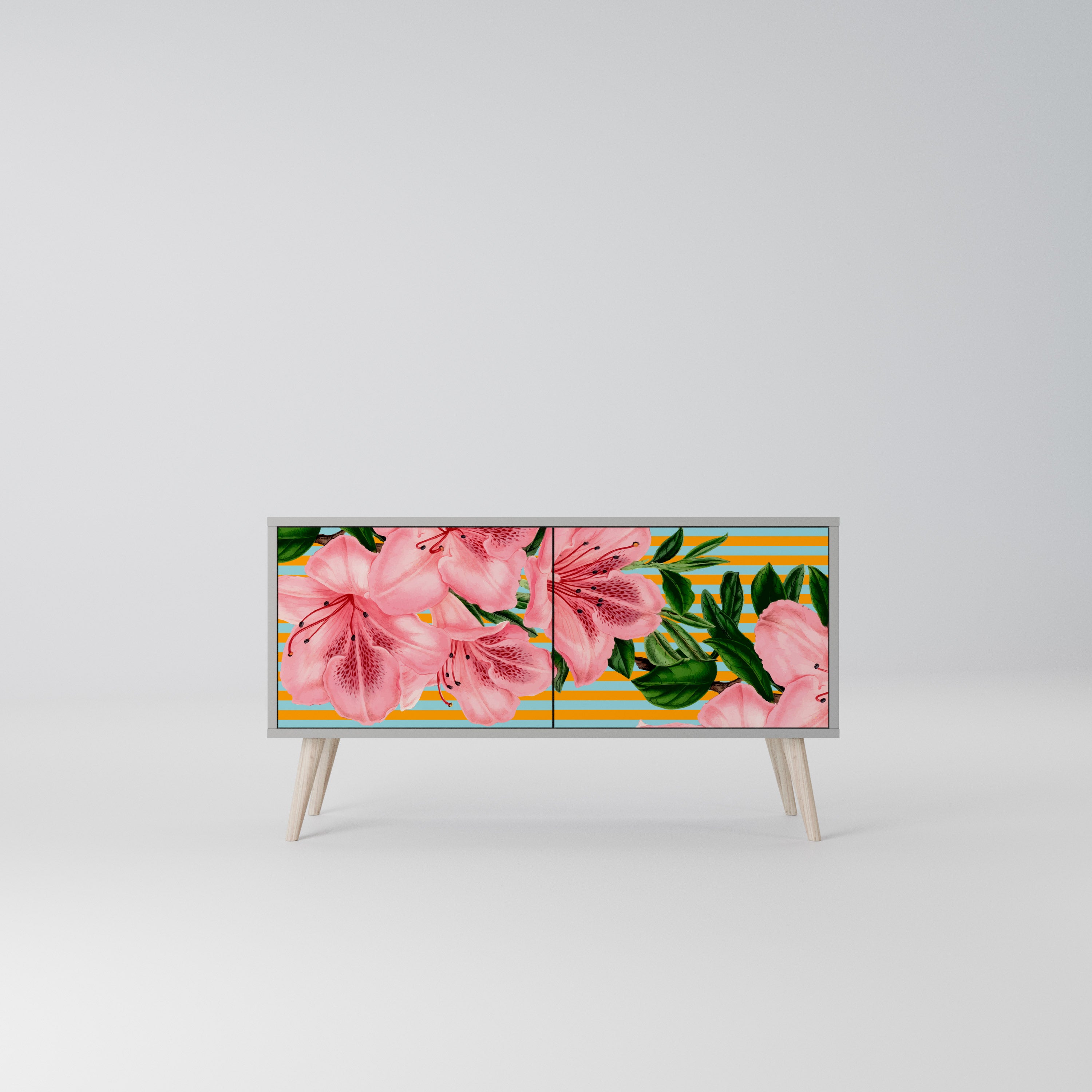 FRAGILE BEAUTY Kompaktowa szafka RTV 2-drzwiowa