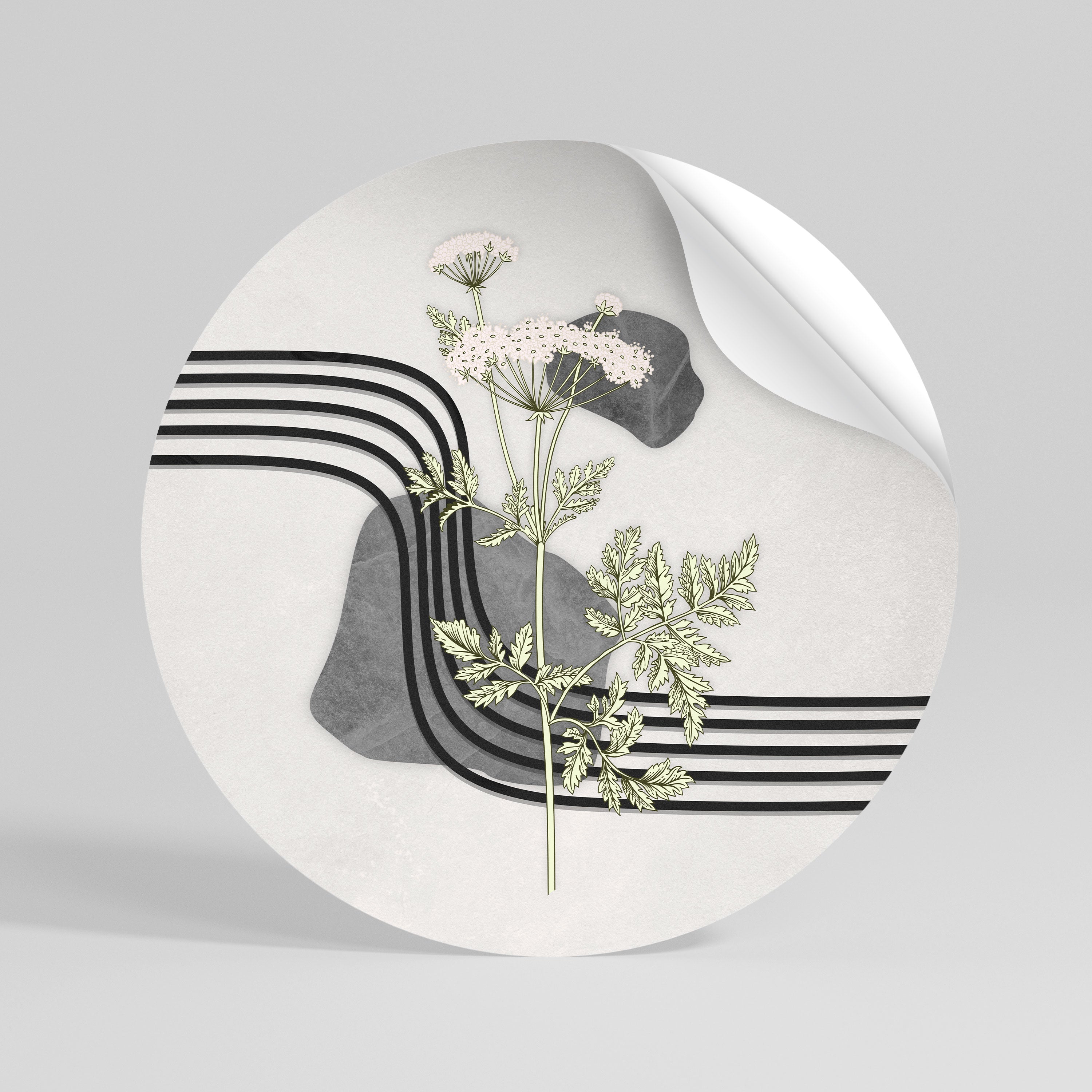 HERACLEUM ARRAY Naklejka okrągła