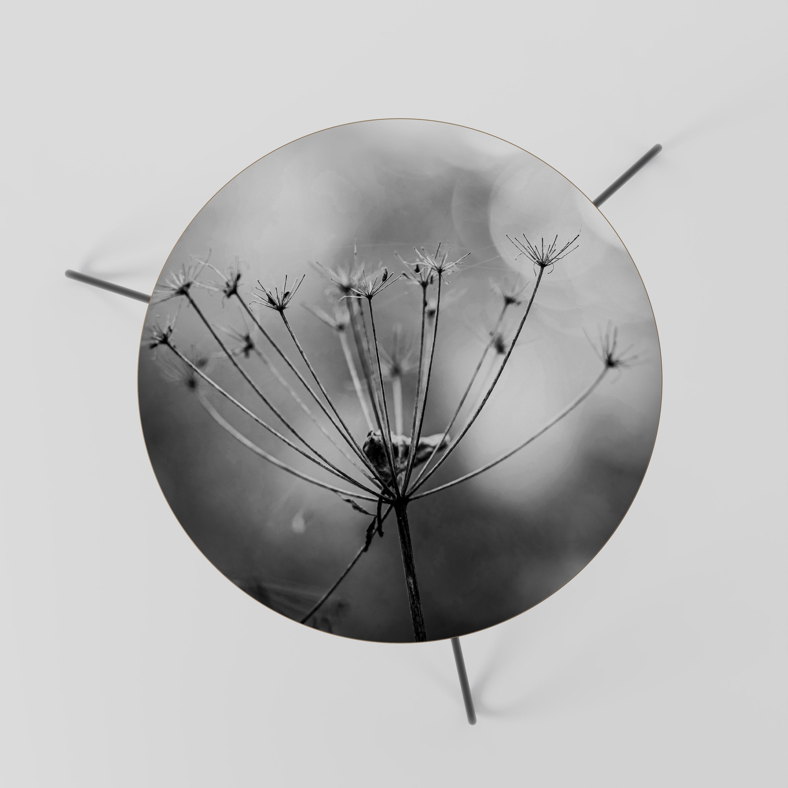 MINIMALIST BLOOM Stolik kawowy mały