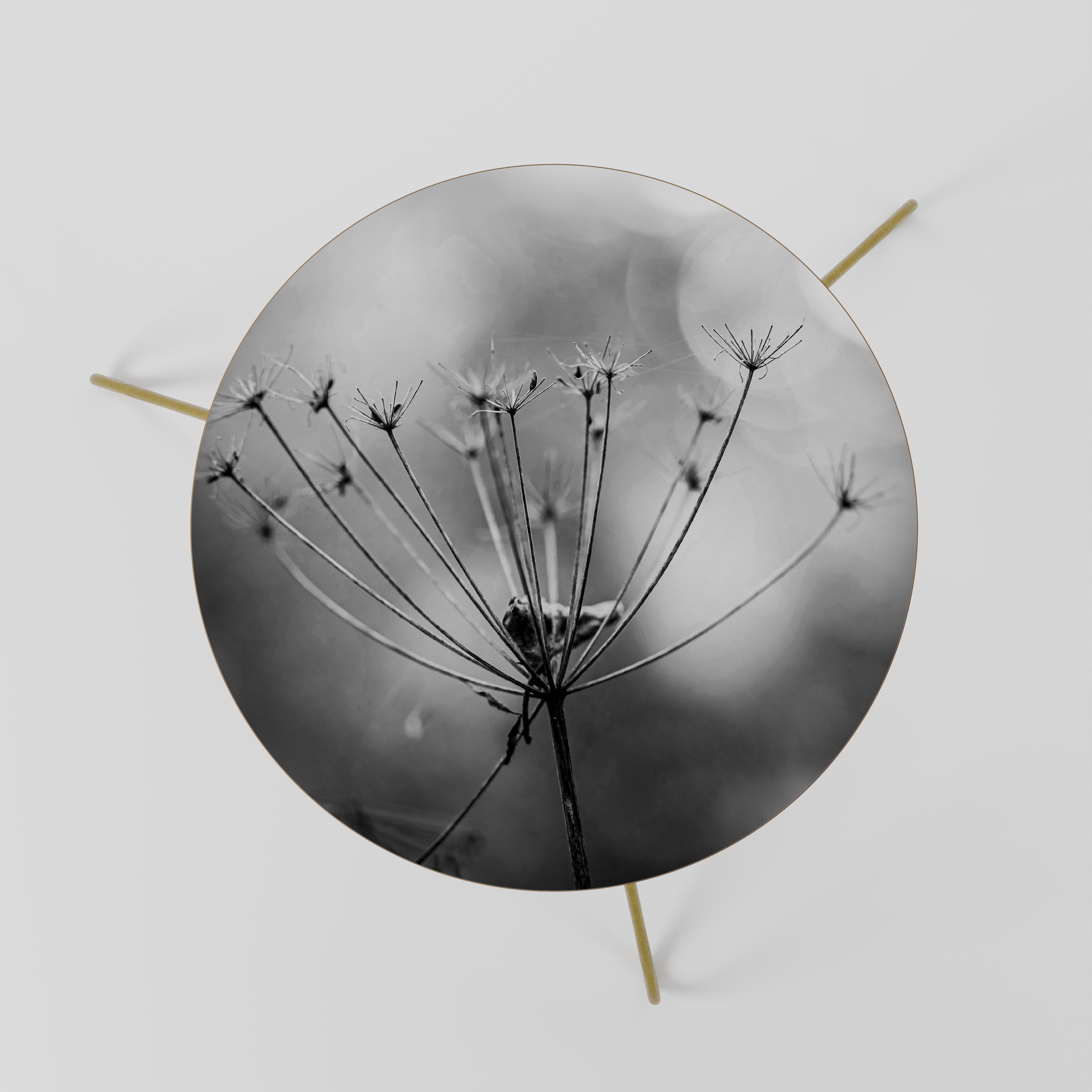 MINIMALIST BLOOM Stolik kawowy mały