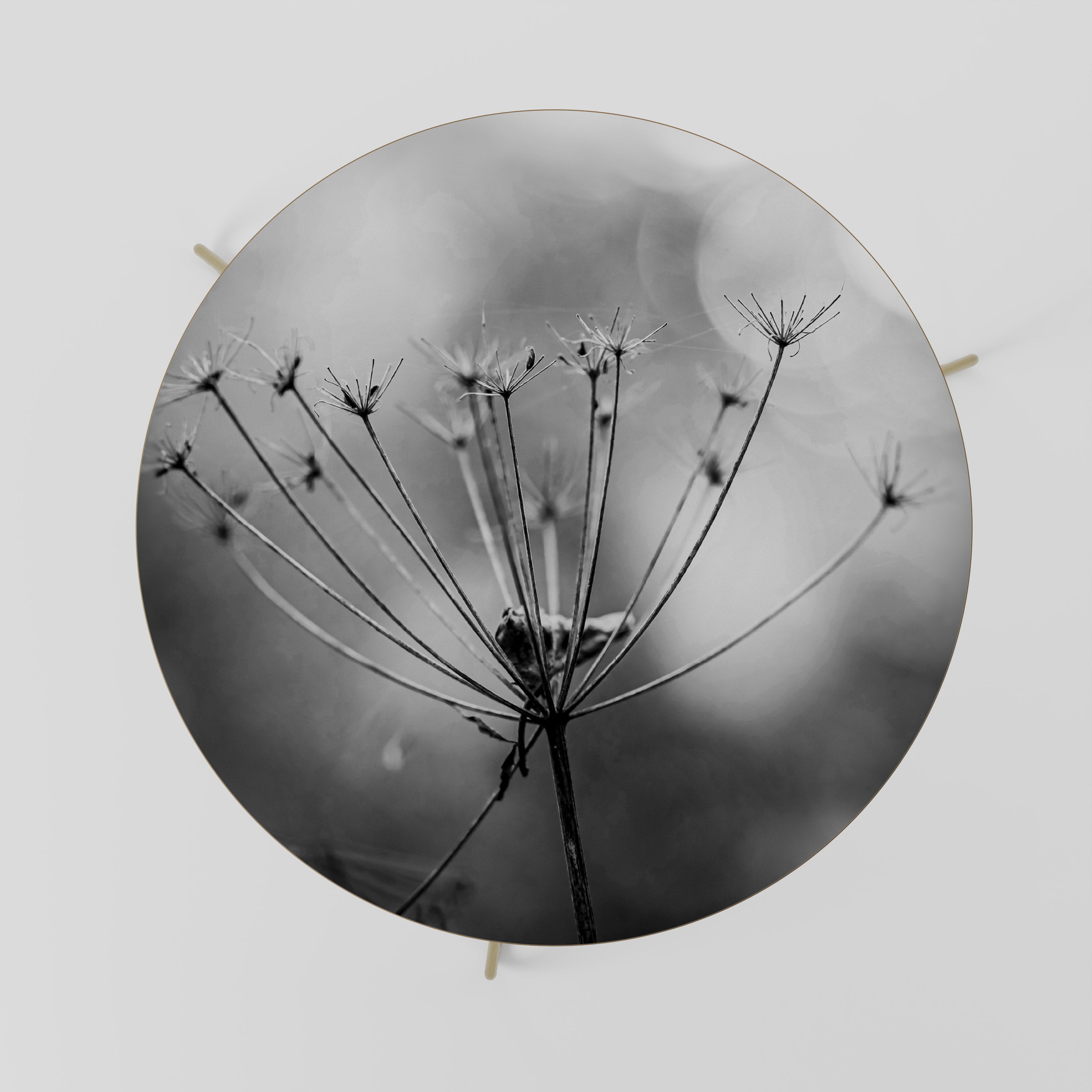 MINIMALIST BLOOM Stolik kawowy duży
