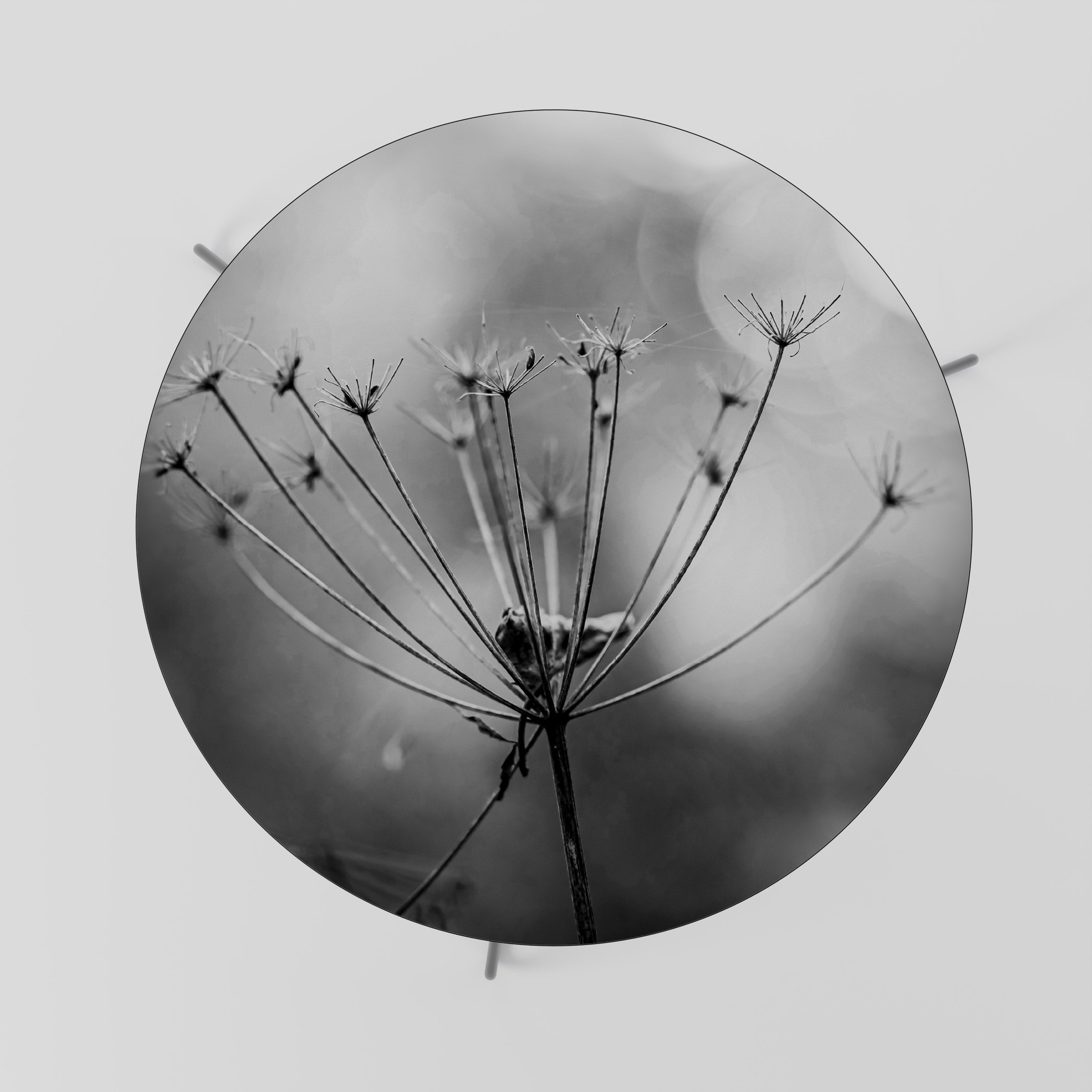 MINIMALIST BLOOM Stolik kawowy duży