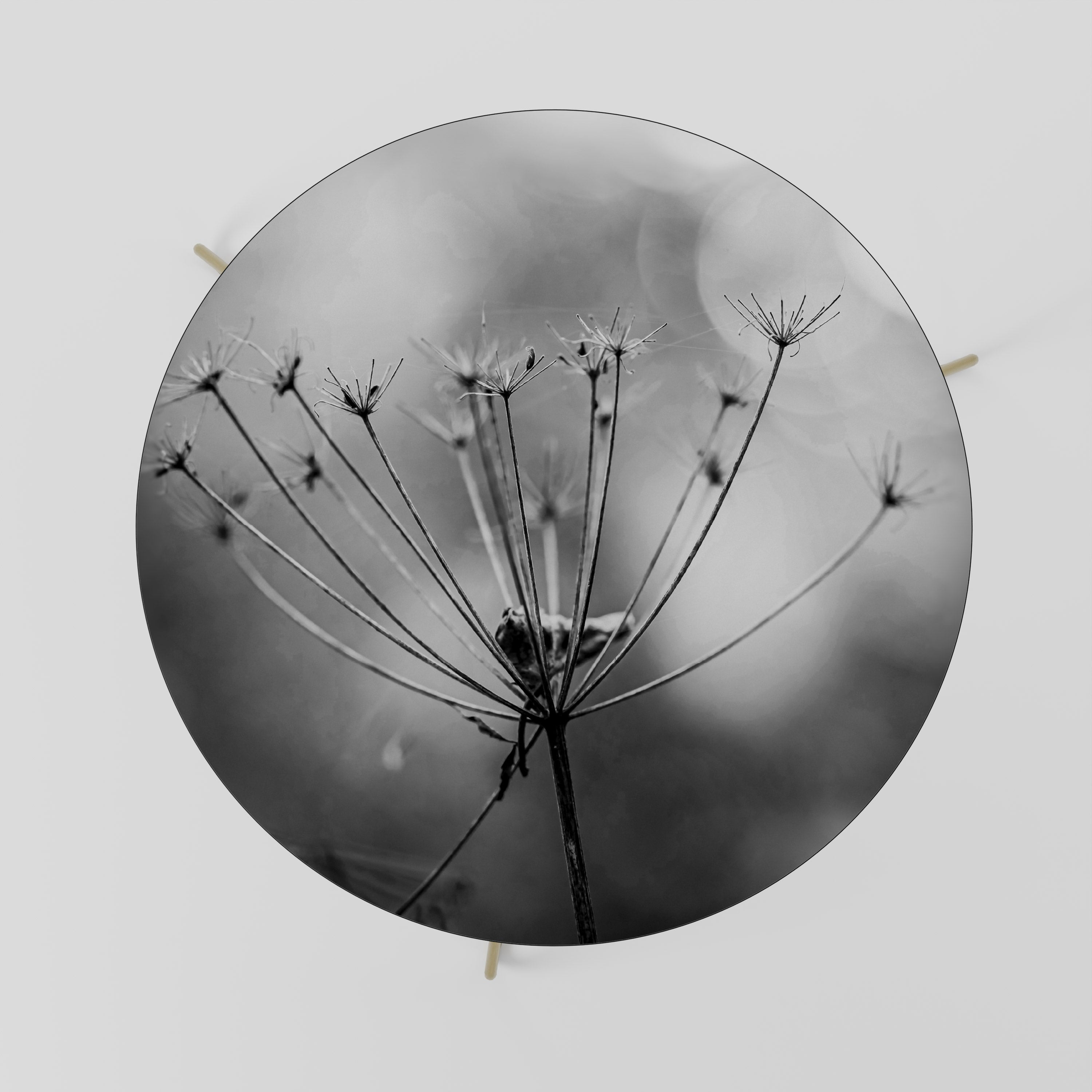 MINIMALIST BLOOM Stolik kawowy duży