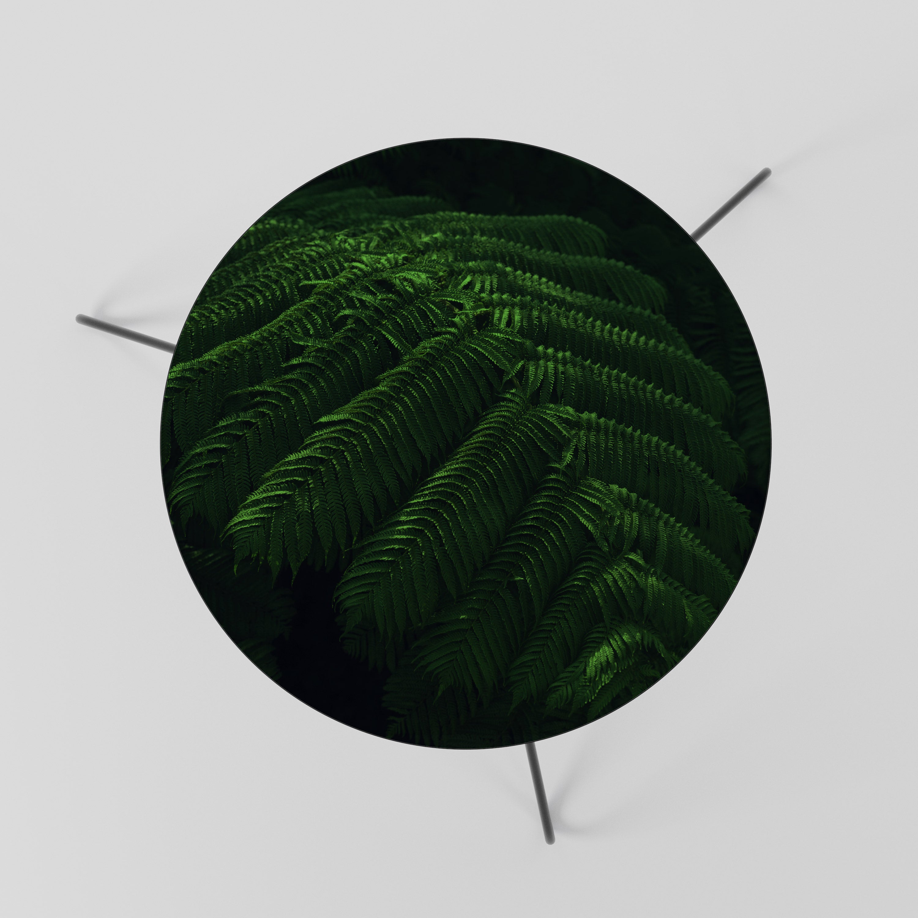 FERN FANTASY Stolik kawowy mały