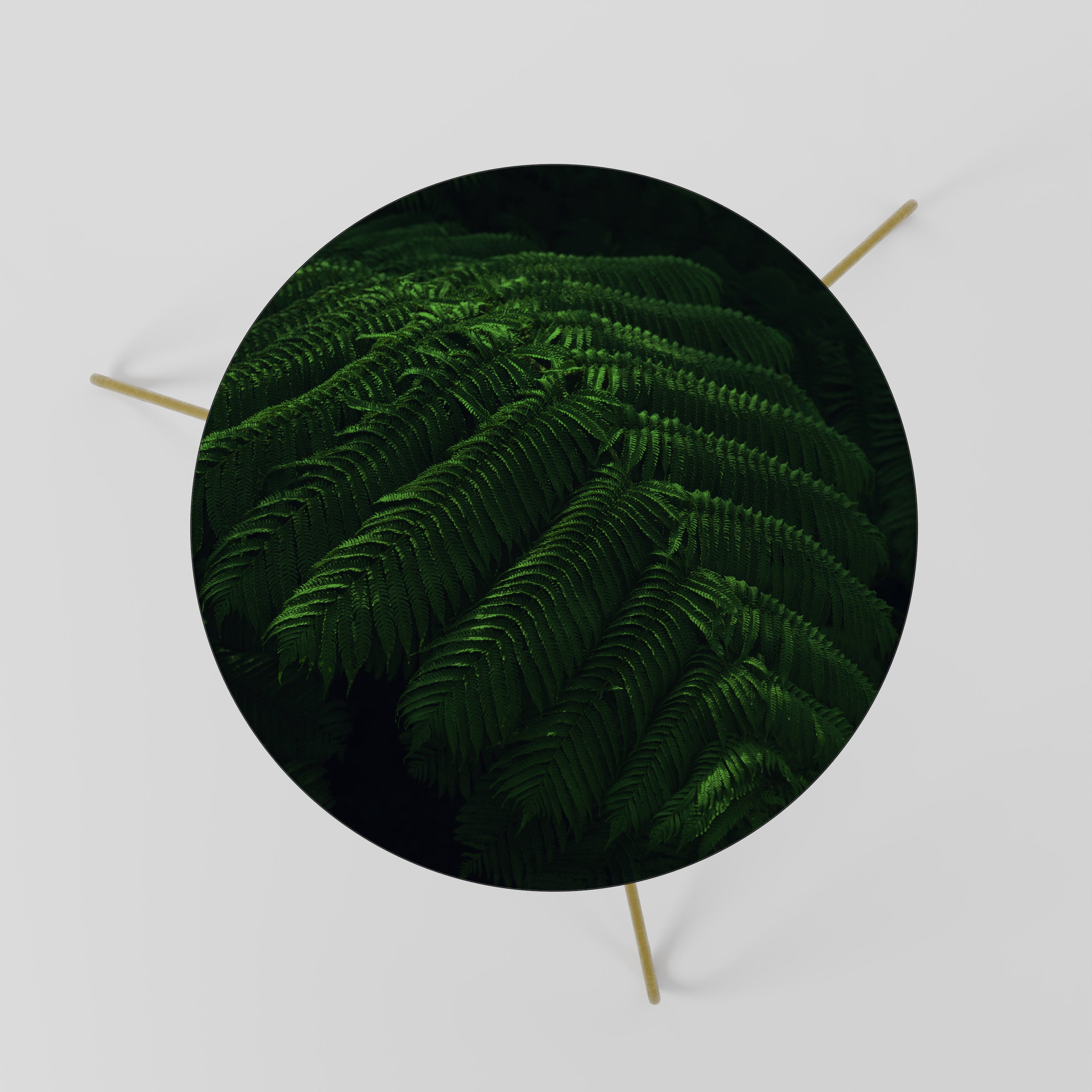 FERN FANTASY Stolik kawowy mały