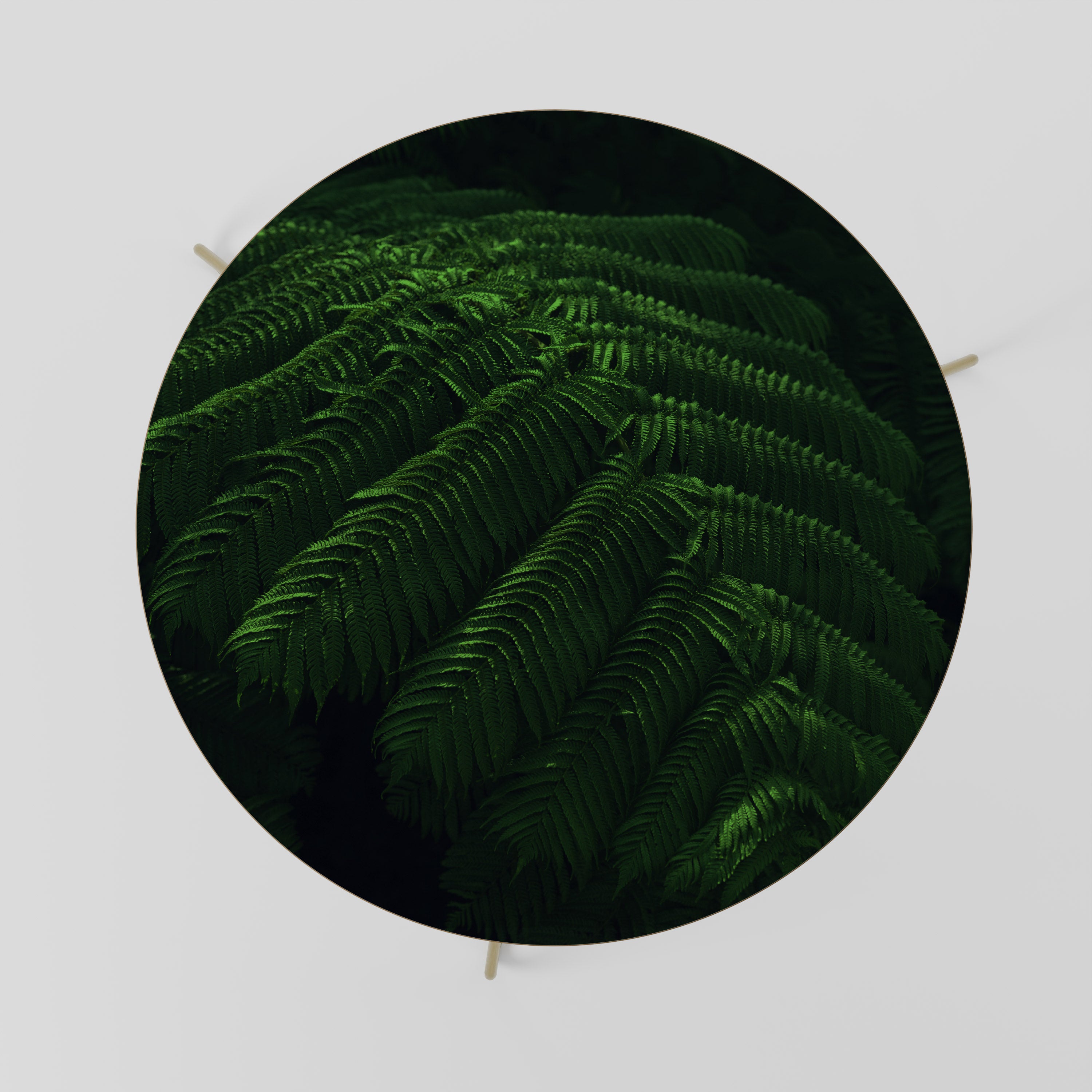 FERN FANTASY Stolik kawowy duży