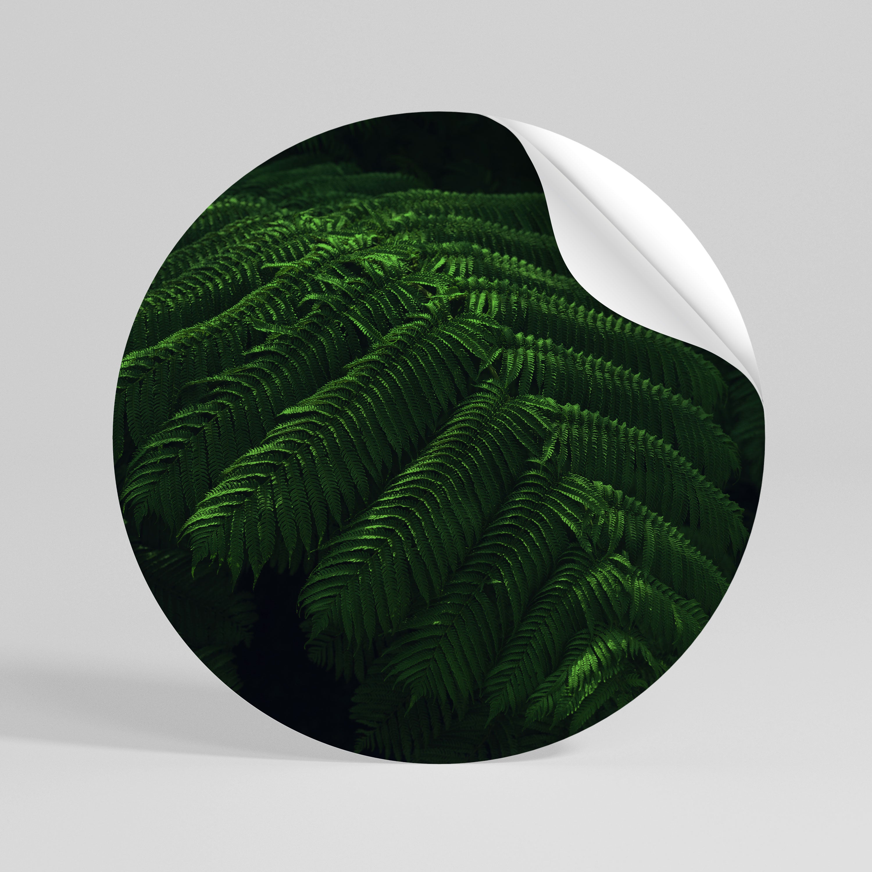 FERN FANTASY Naklejka - okrągła