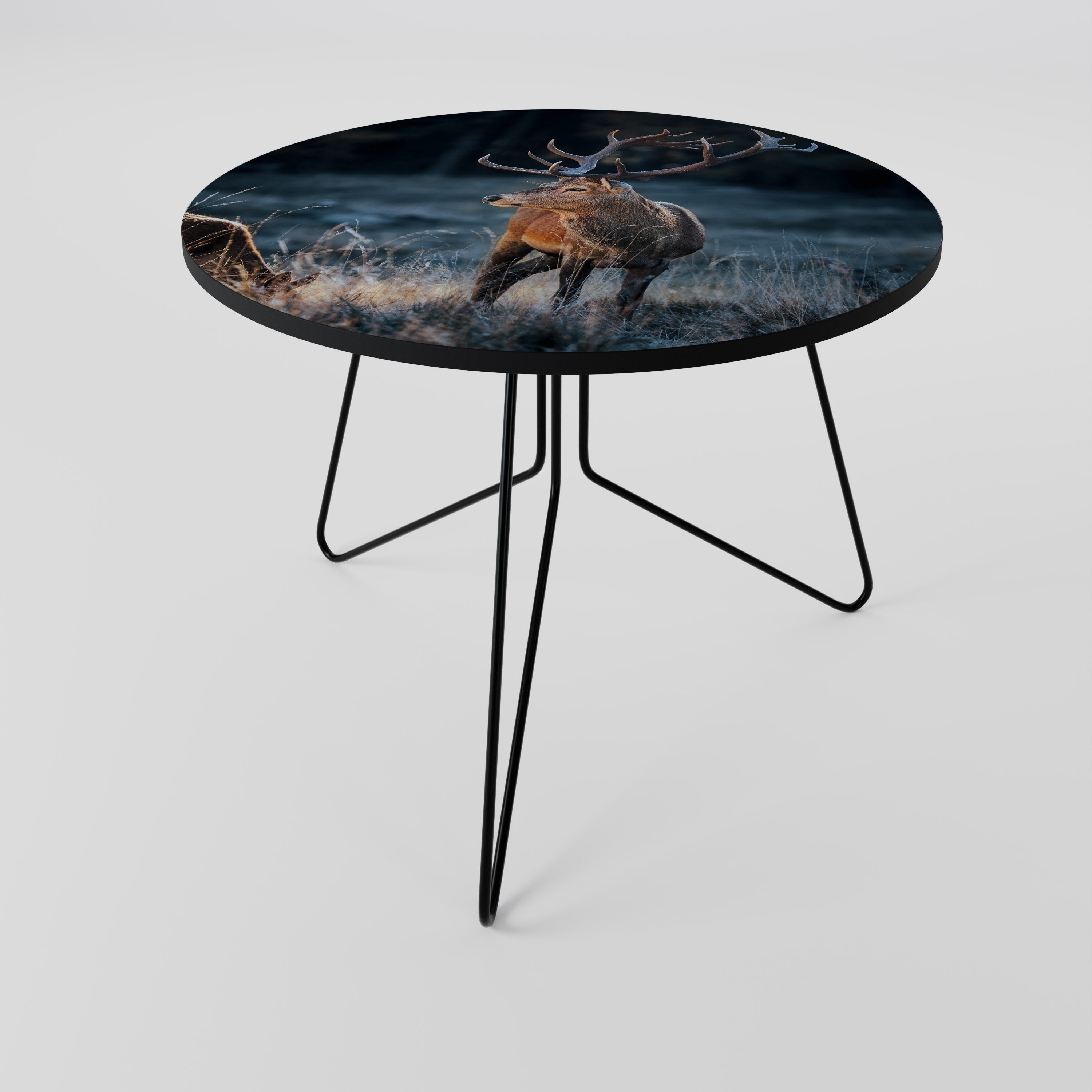 ANTLERED REGALITY Stolik kawowy duży