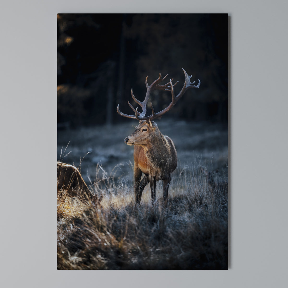 ANTLERED REGALITY Pionowy obraz na płótnie