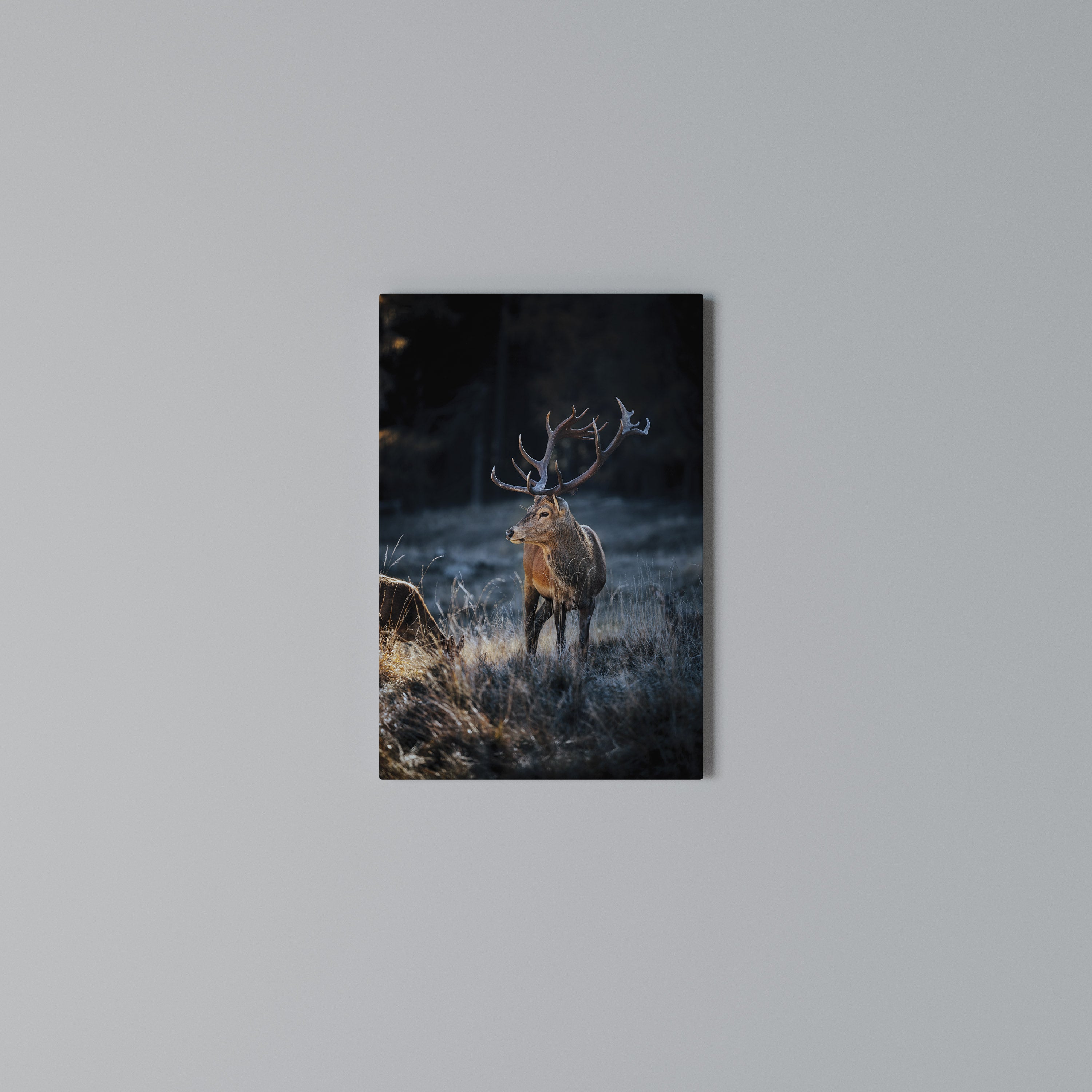 ANTLERED REGALITY Pionowy obraz na płótnie