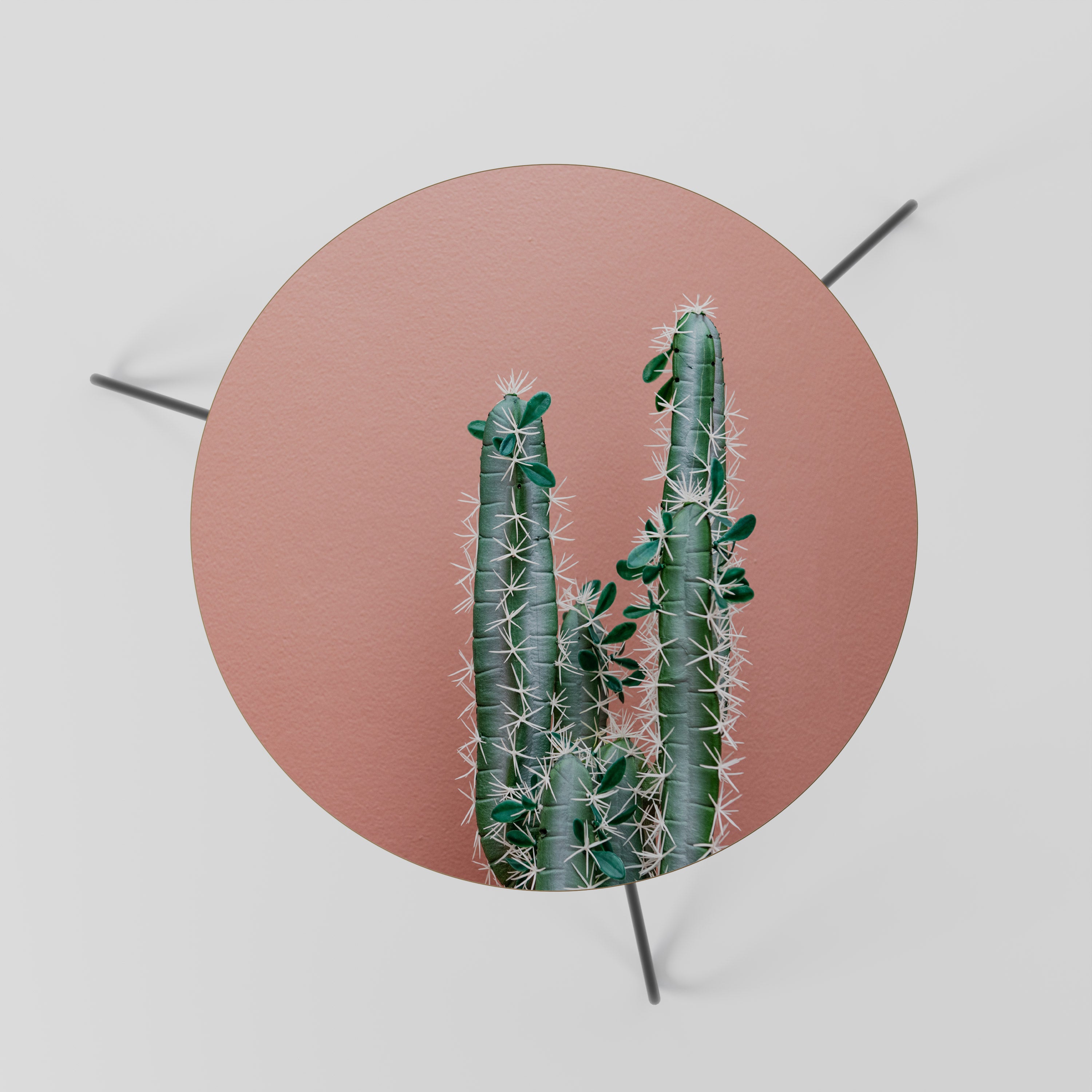 LORD CACTUS Stolik kawowy mały