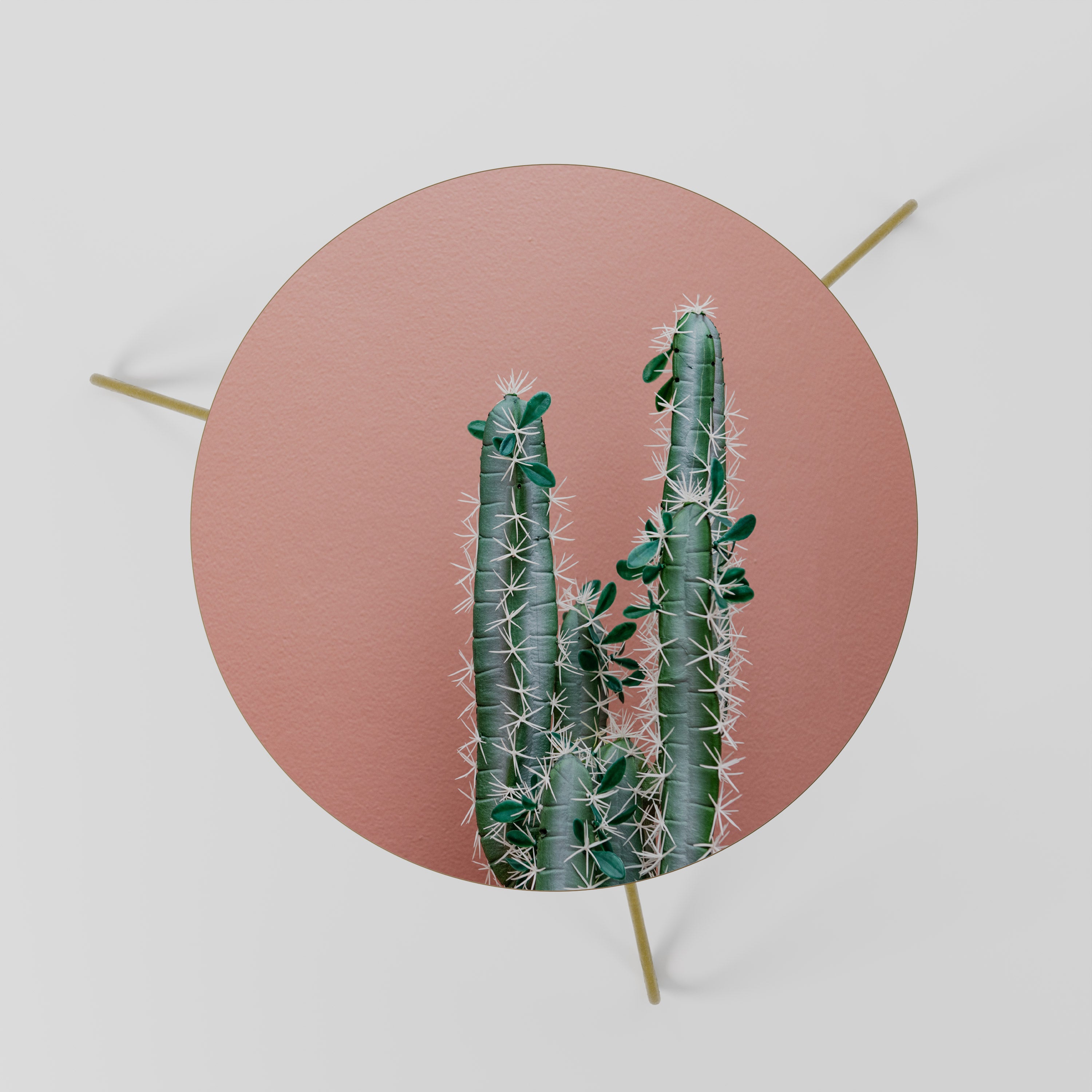 LORD CACTUS Stolik kawowy mały