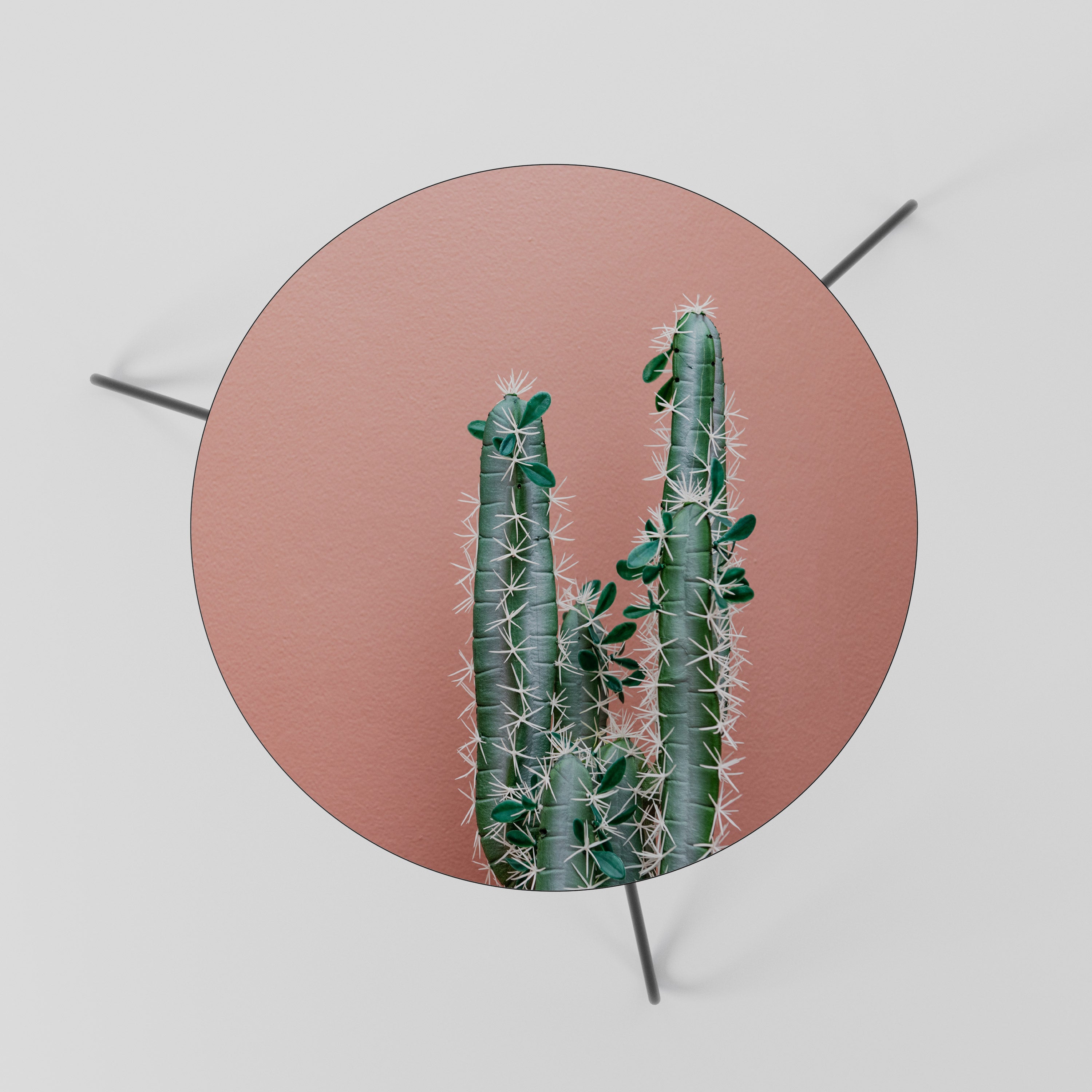 LORD CACTUS Stolik kawowy mały