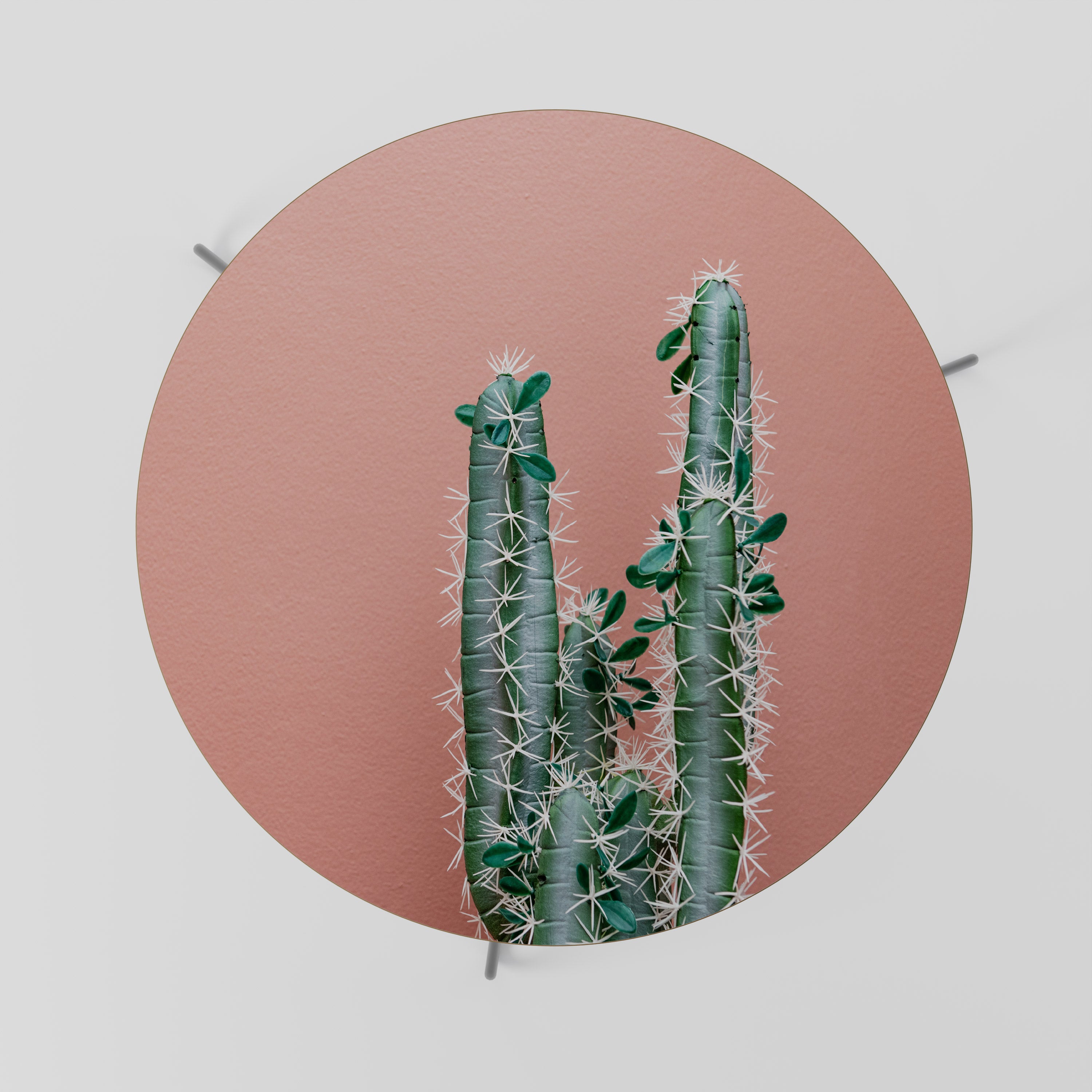 LORD CACTUS Stolik kawowy duży