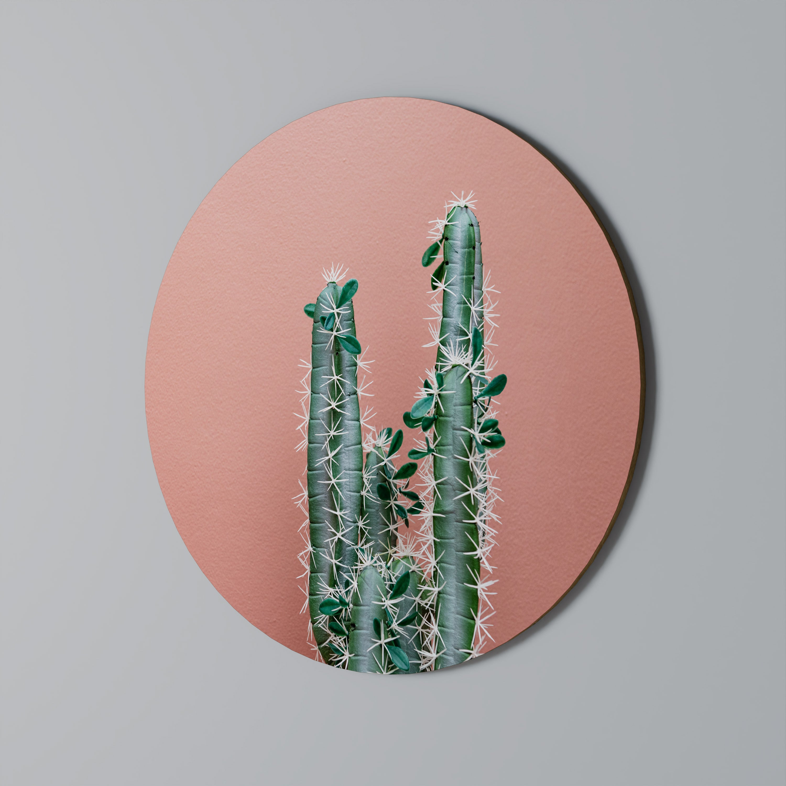 LORD CACTUS Obraz okrągły