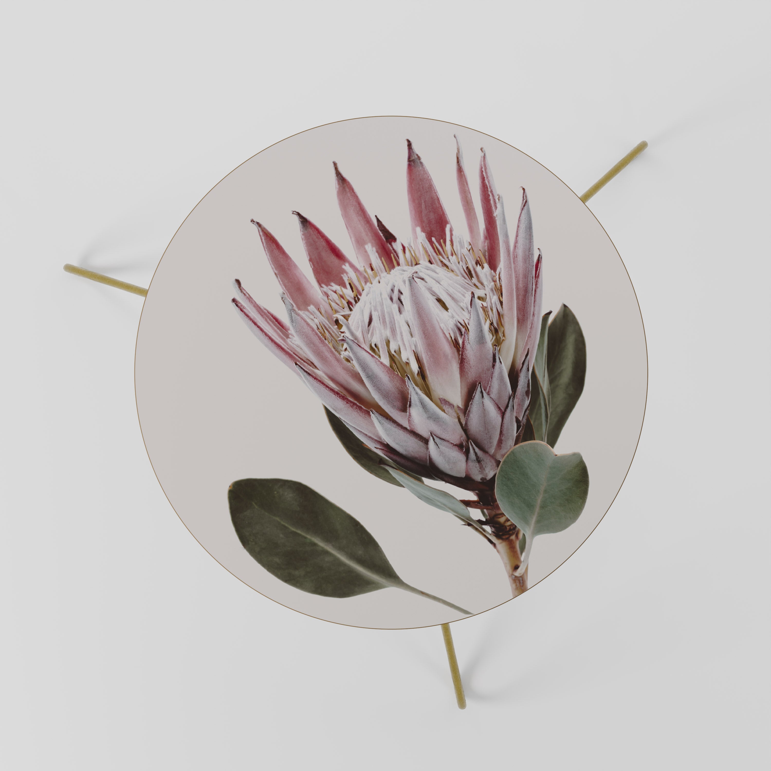 PROTEA FLOWER Stolik kawowy mały
