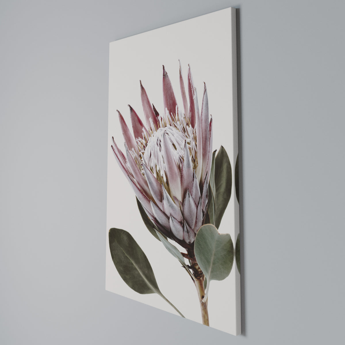 PROTEA FLOWER Pionowy obraz na płótnie