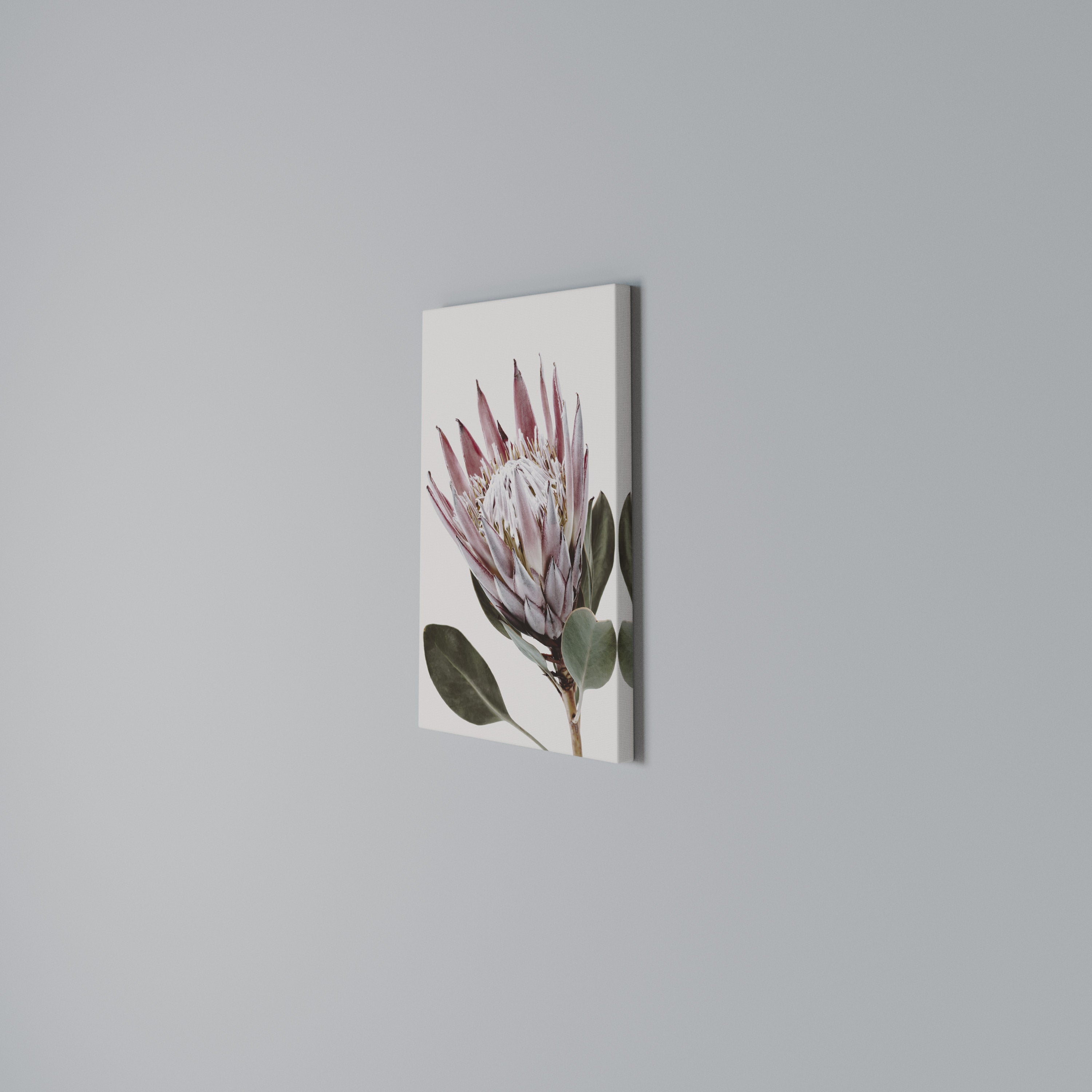 PROTEA FLOWER Pionowy obraz na płótnie