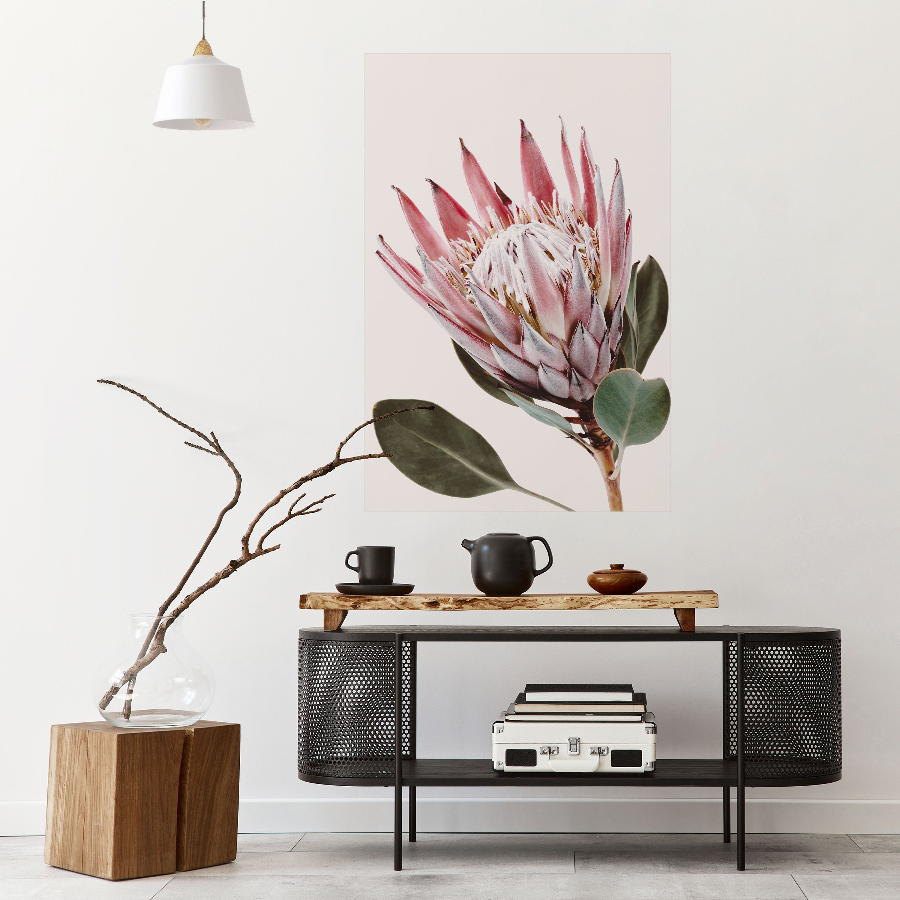 PROTEA FLOWER Naklejka/Plakat pionowy