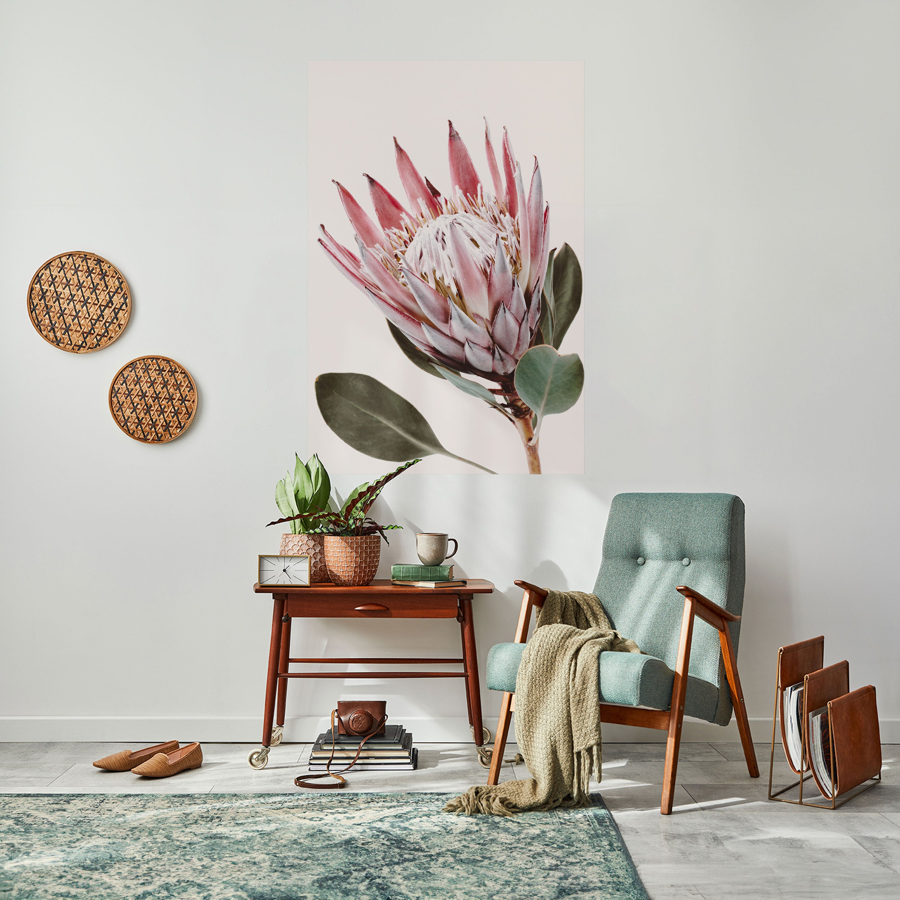 PROTEA FLOWER Naklejka/Plakat pionowy