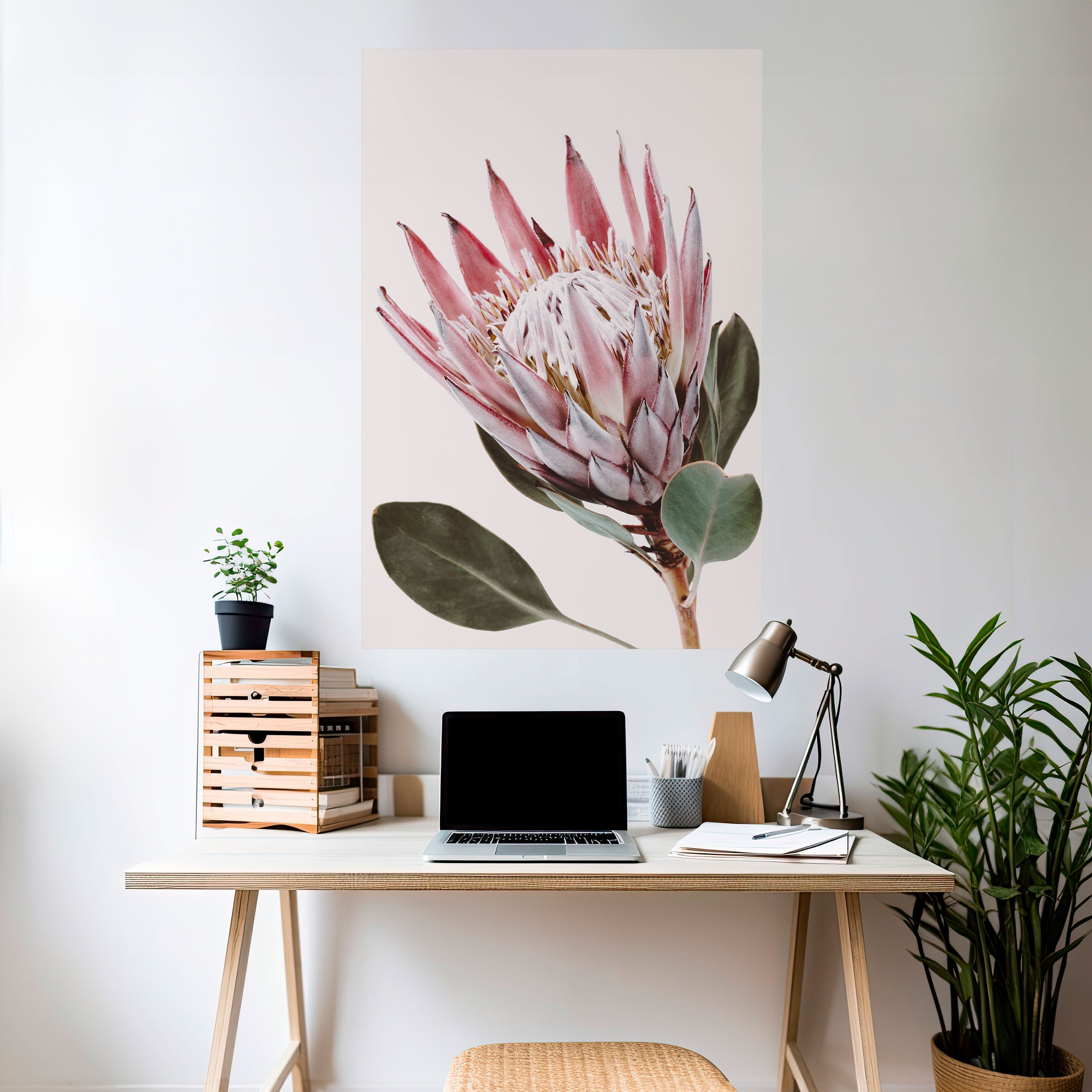 PROTEA FLOWER Naklejka/Plakat pionowy
