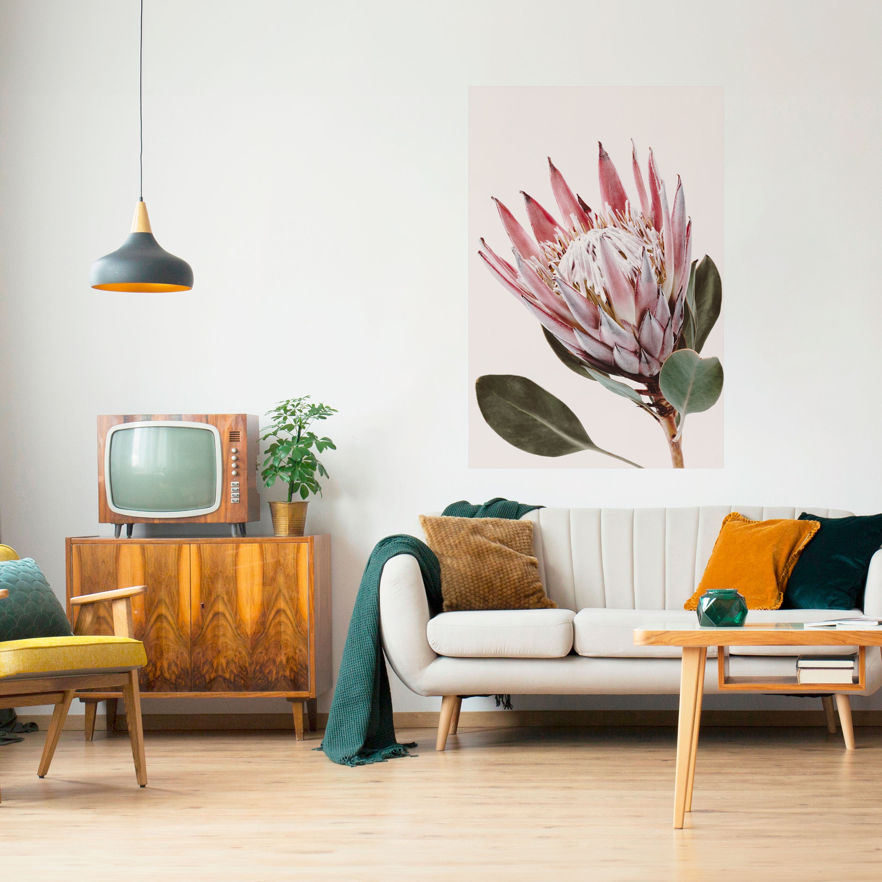 PROTEA FLOWER Naklejka/Plakat pionowy