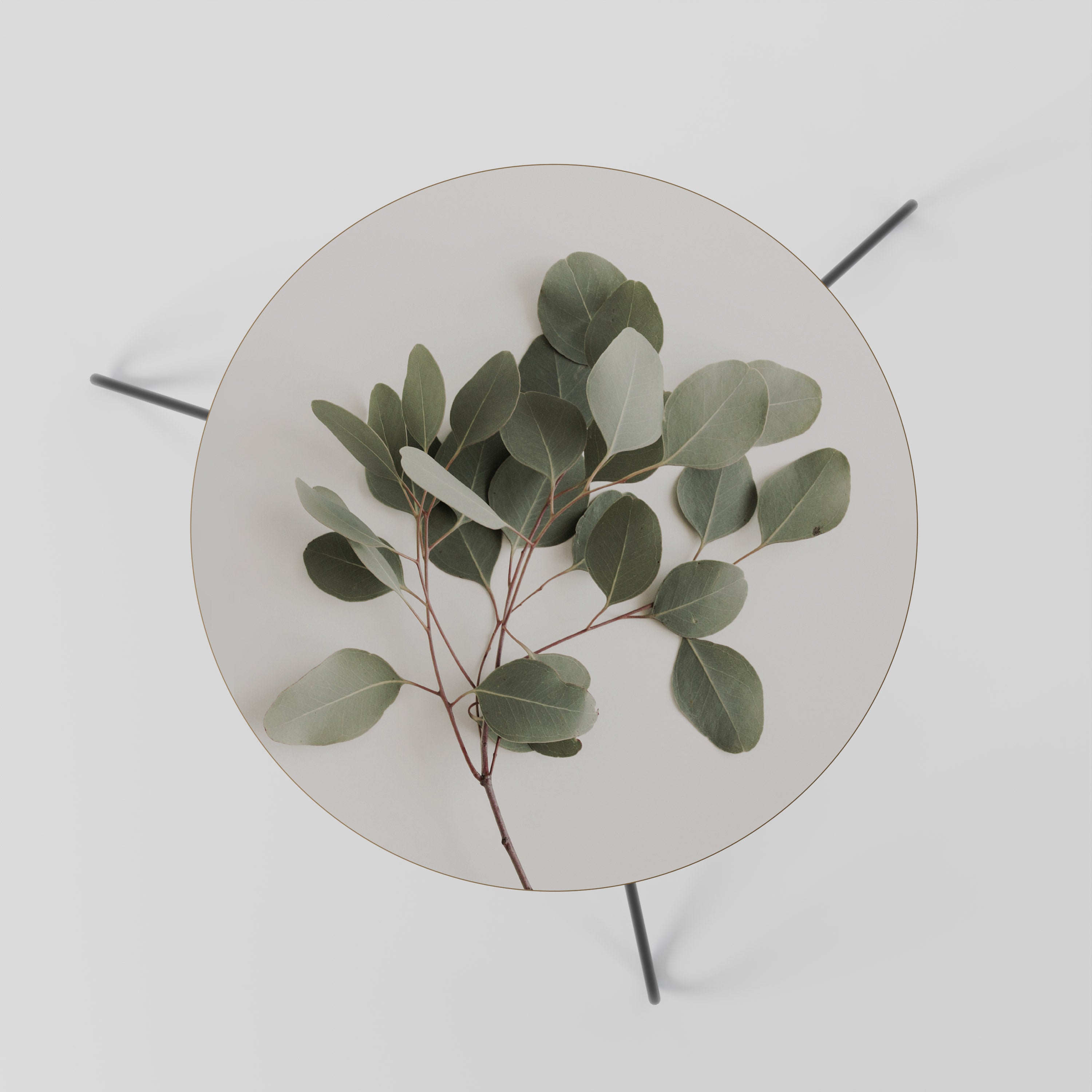 EUCALYPTUS BRANCH Stolik kawowy mały