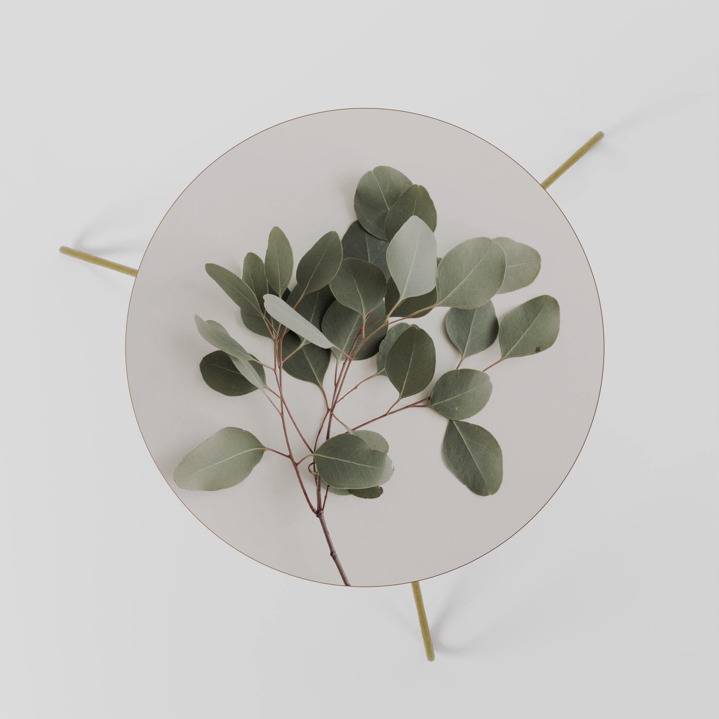 EUCALYPTUS BRANCH Stolik kawowy mały
