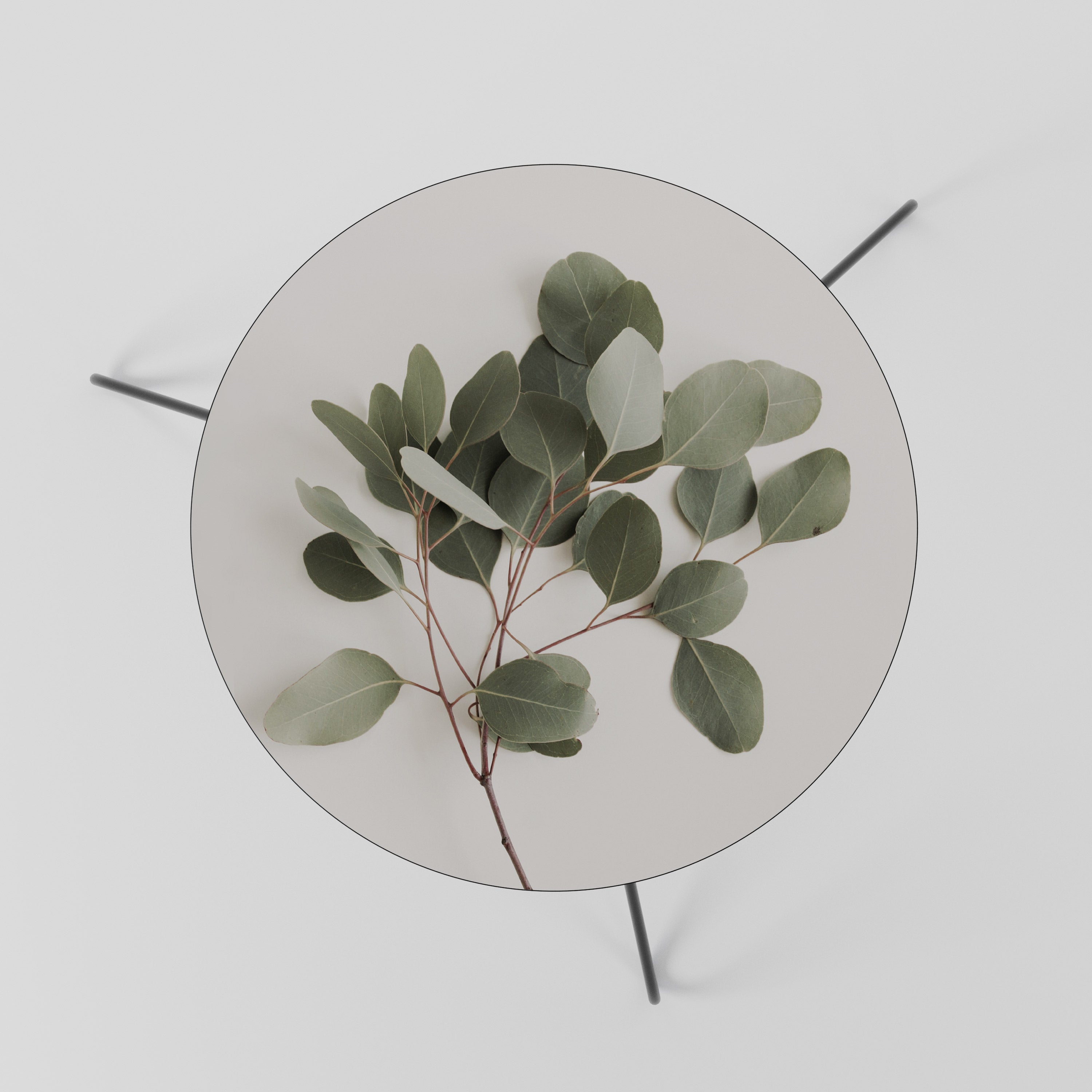 EUCALYPTUS BRANCH Stolik kawowy mały
