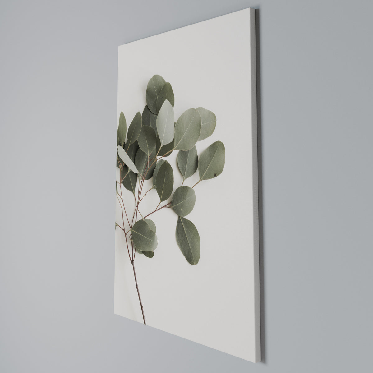 EUCALYPTUS BRANCH Pionowy obraz na płótnie