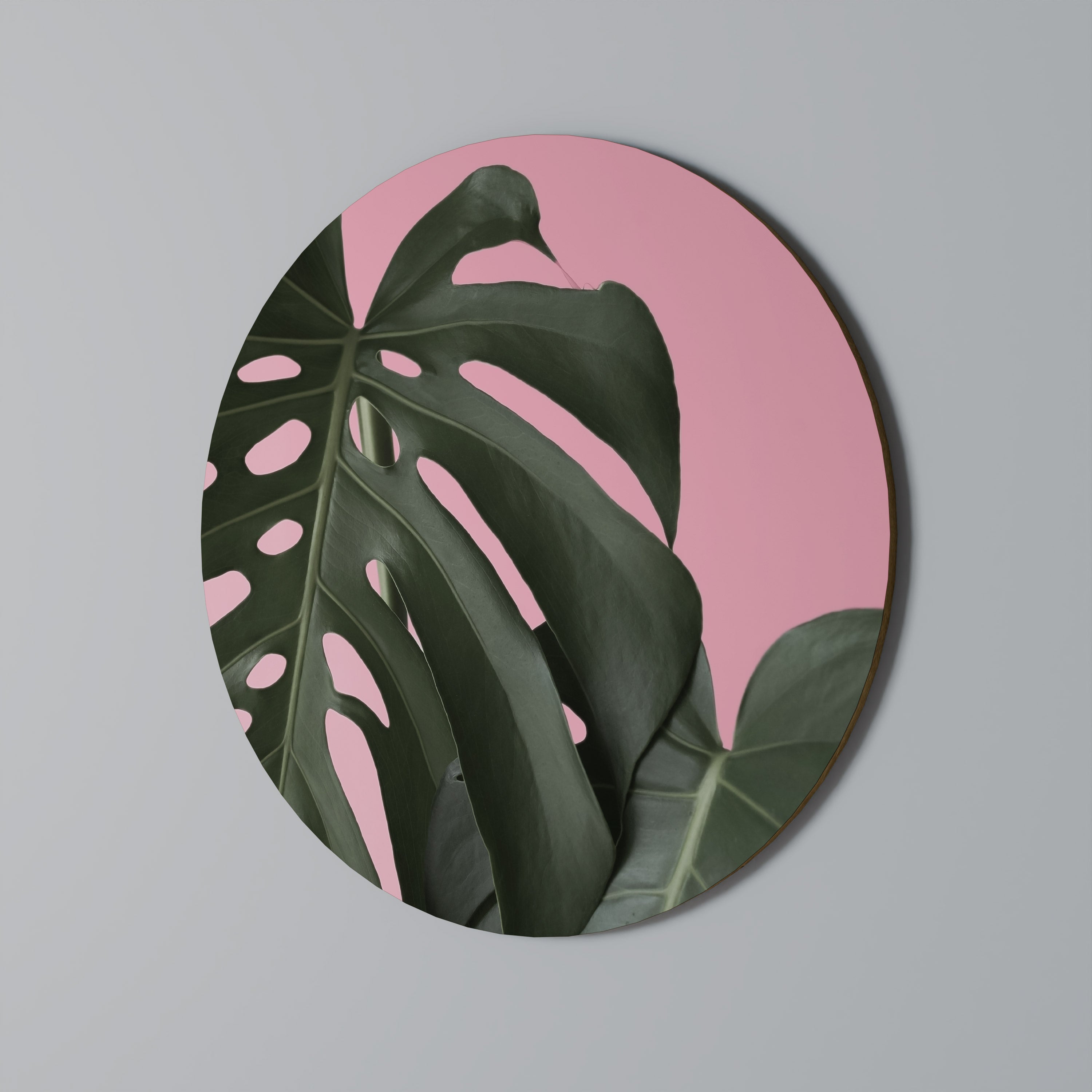 LADY MONSTERA Obraz okrągły