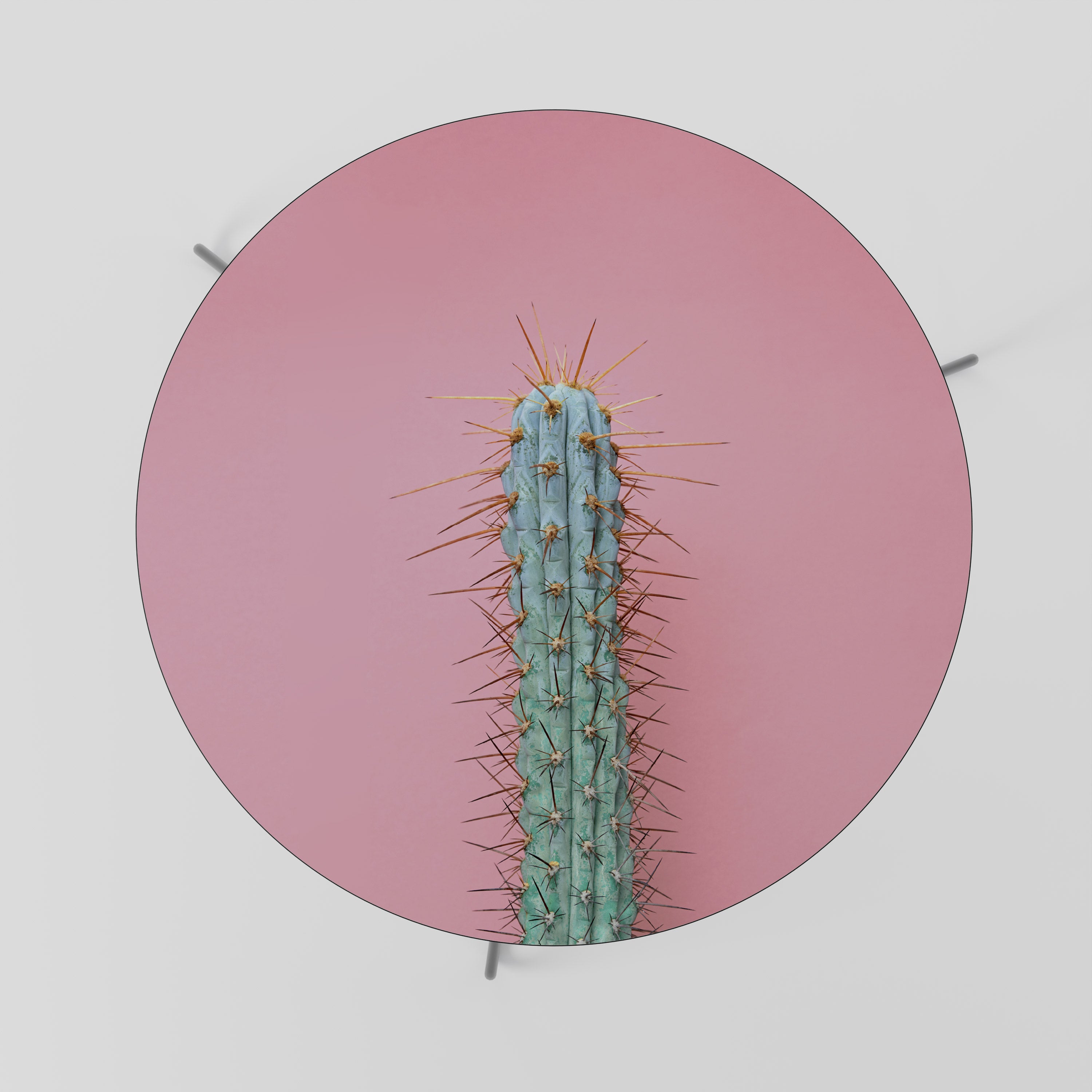 MISTER CACTUS Stolik kawowy duży