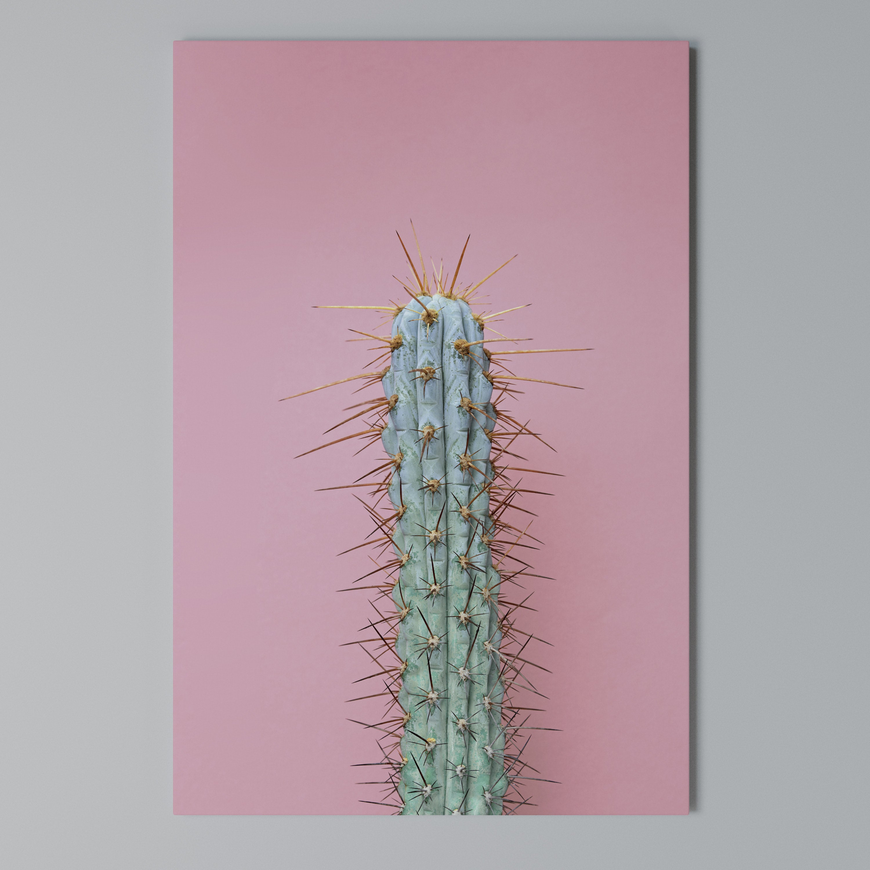 MISTER CACTUS Pionowy obraz na płótnie