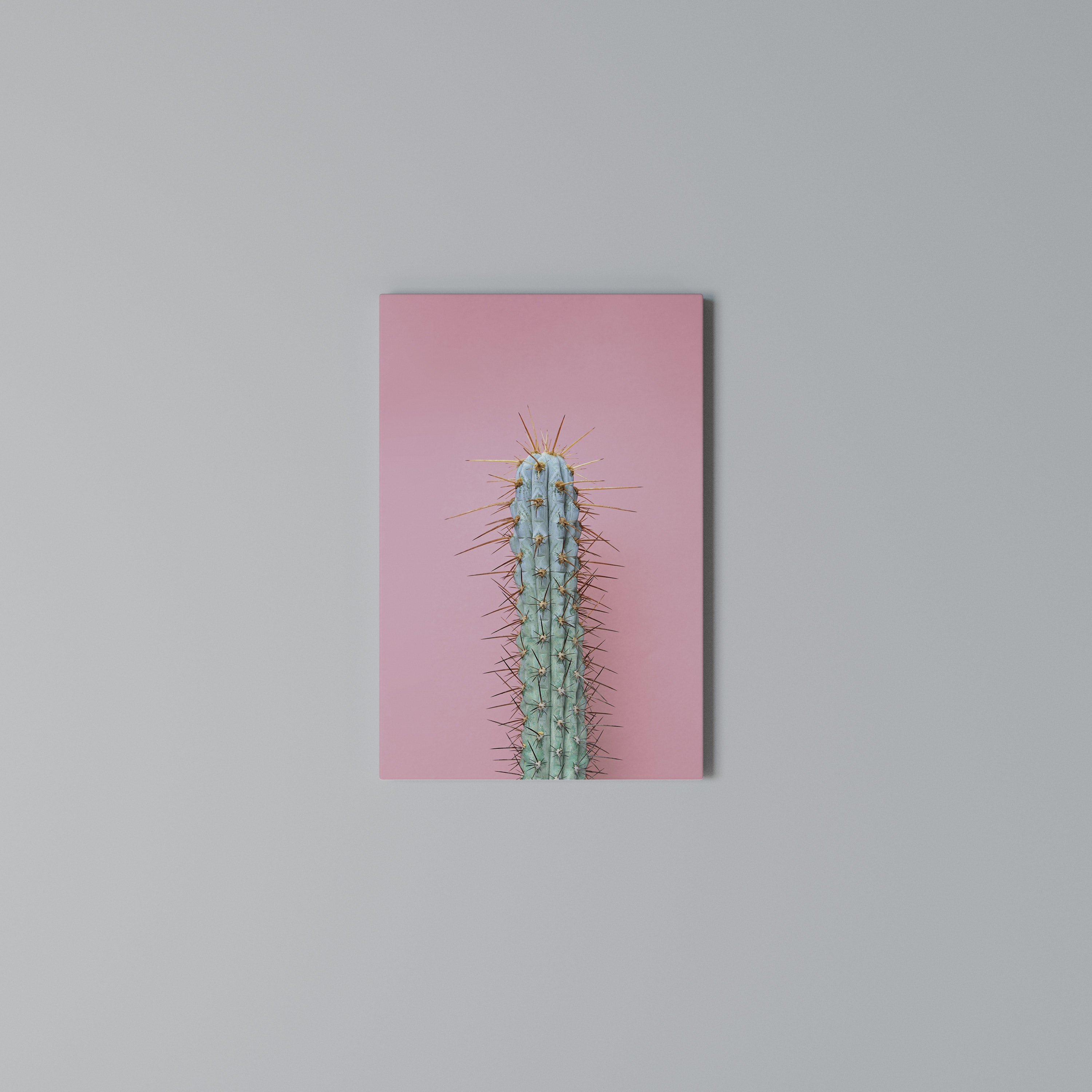 MISTER CACTUS Pionowy obraz na płótnie