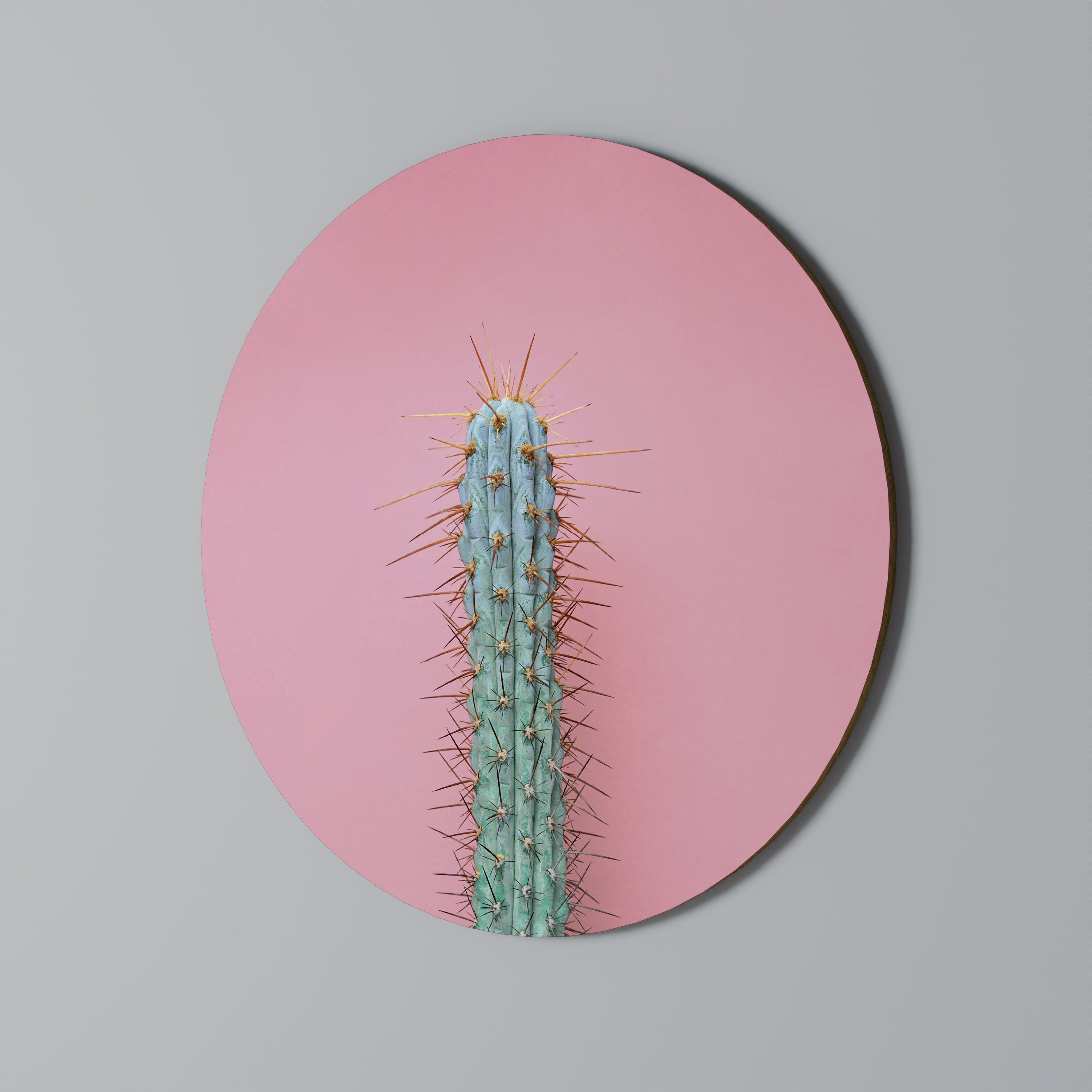 MISTER CACTUS Obraz okrągły