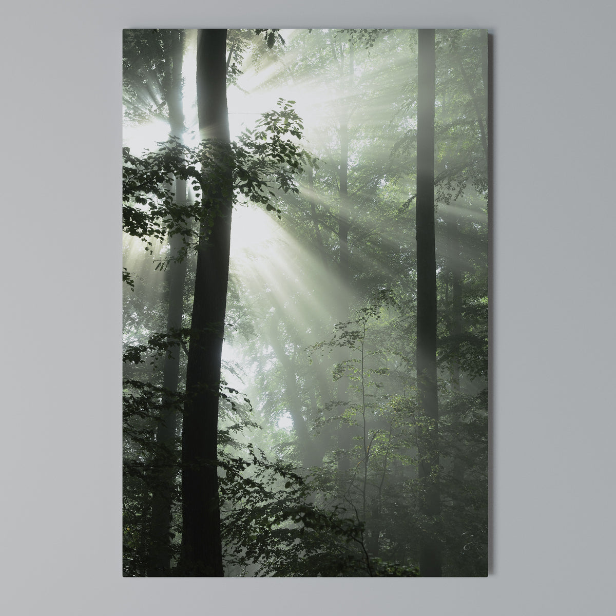 MYSTICAL SUNBEAMS Pionowy obraz na płótnie