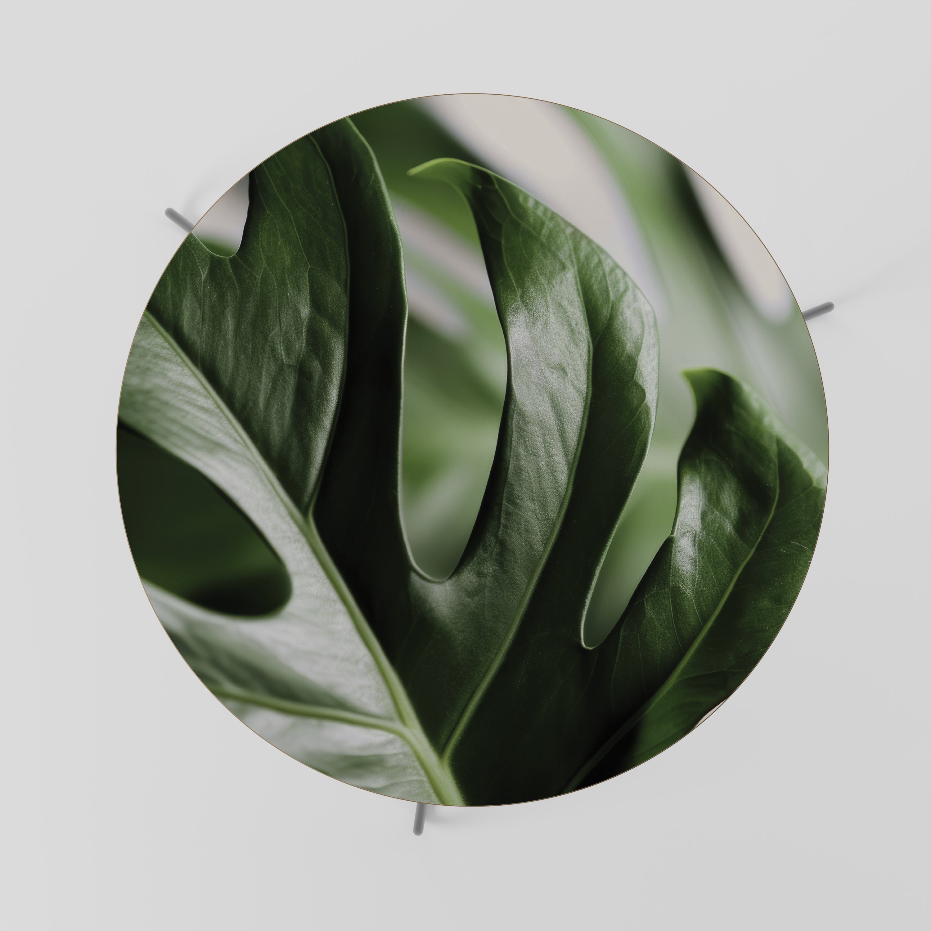 SHARP MONSTERA Stolik kawowy duży