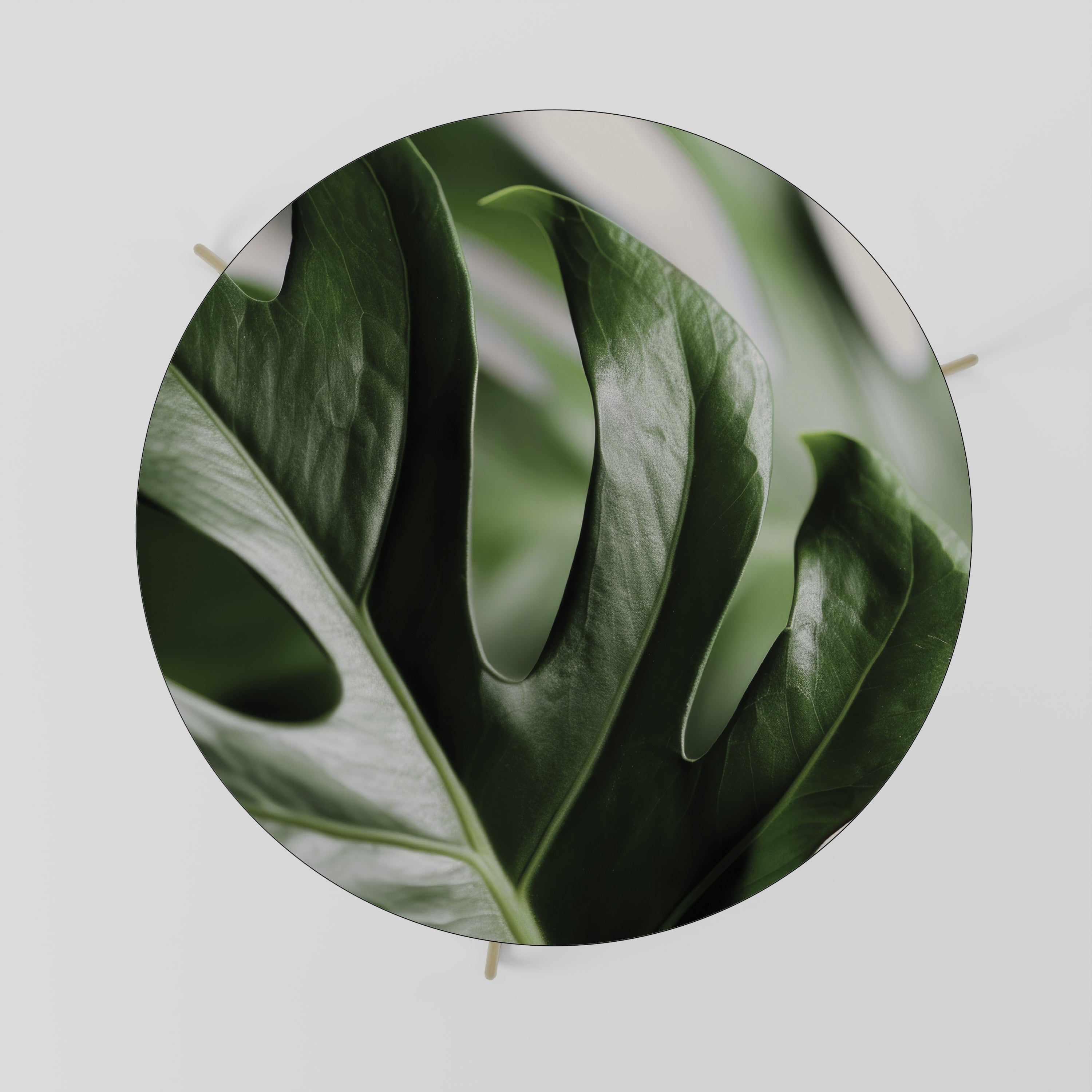 SHARP MONSTERA Stolik kawowy duży