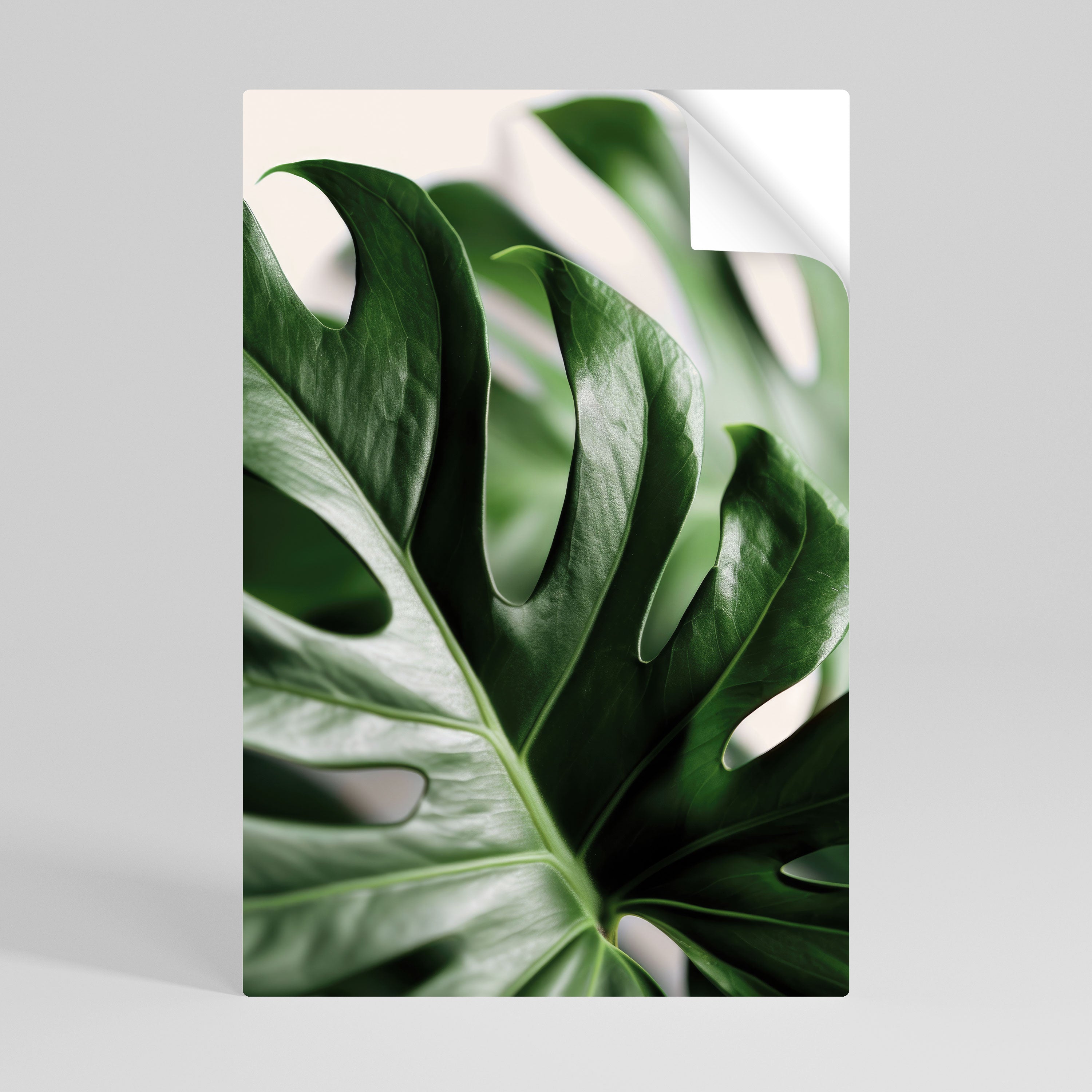 SHARP MONSTERA Naklejka/Plakat pionowy