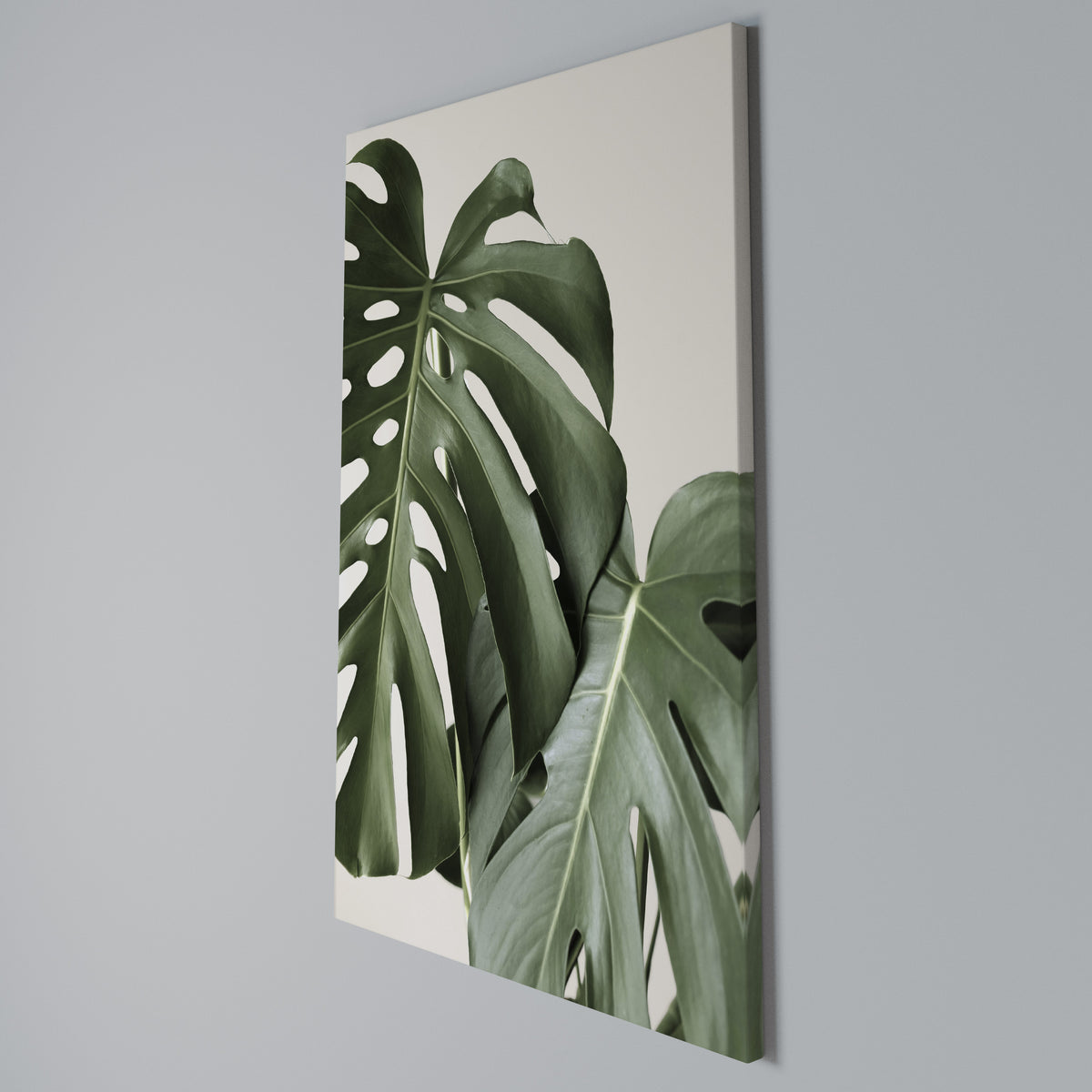 MONSTERA ACCURACY Pionowy obraz na płótnie